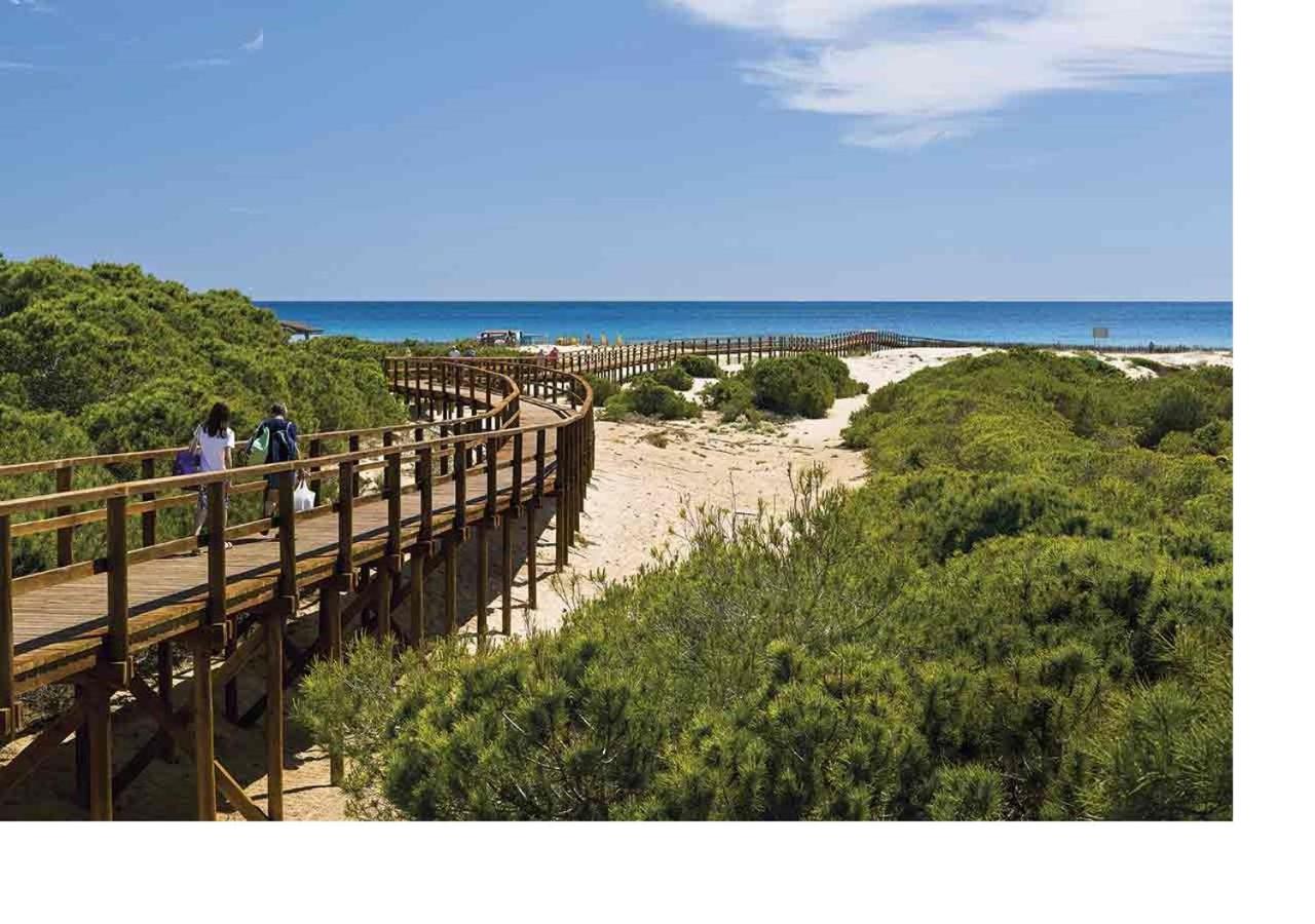 LUXURY New Loft CITY CENTRE & Castle, Alicante view 4