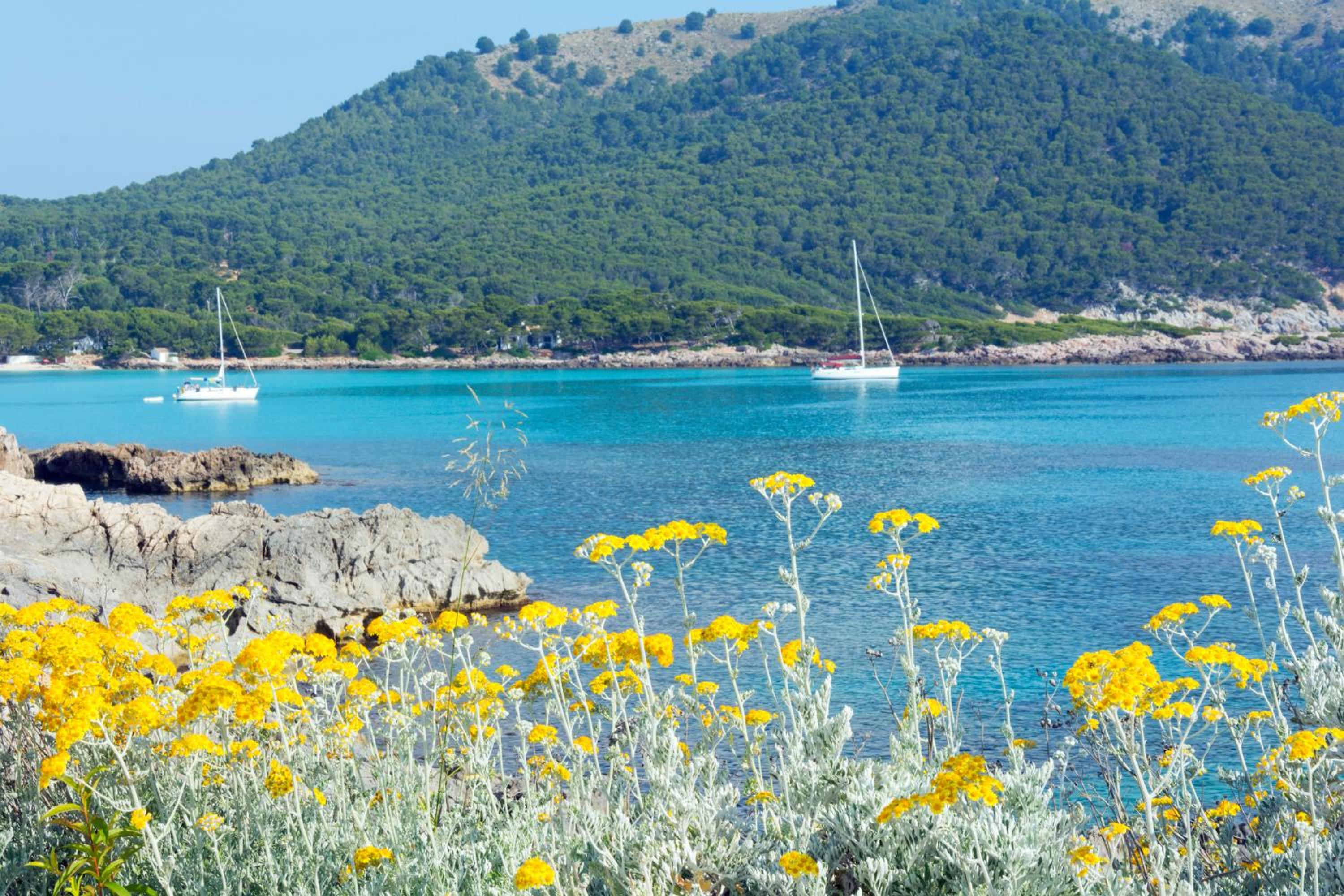 Cala Ratjada Vacations - HSM Regana - Adults only - Property Image 11