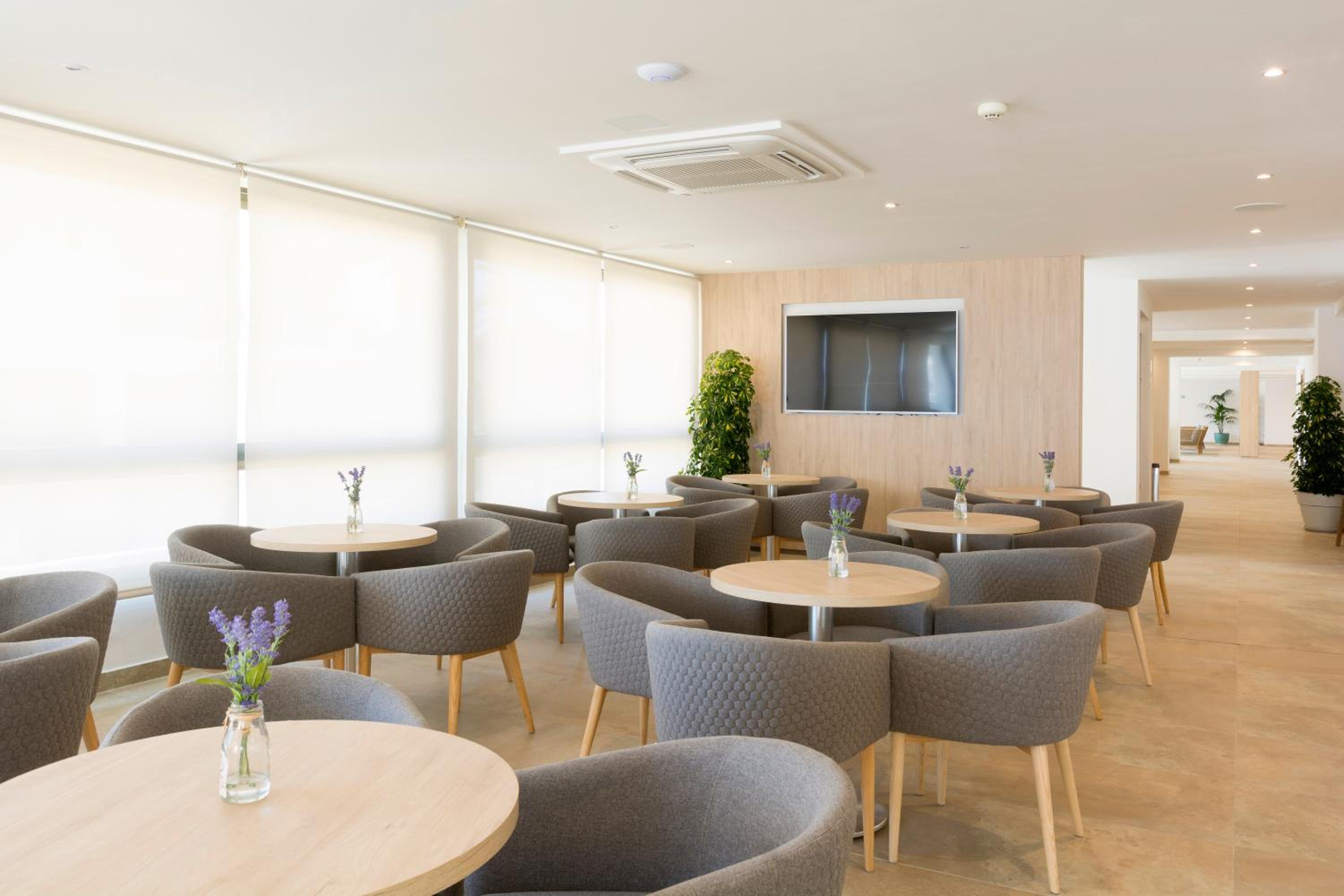 Cala Ratjada Vacations - HSM Regana - Adults only - Property Image 3
