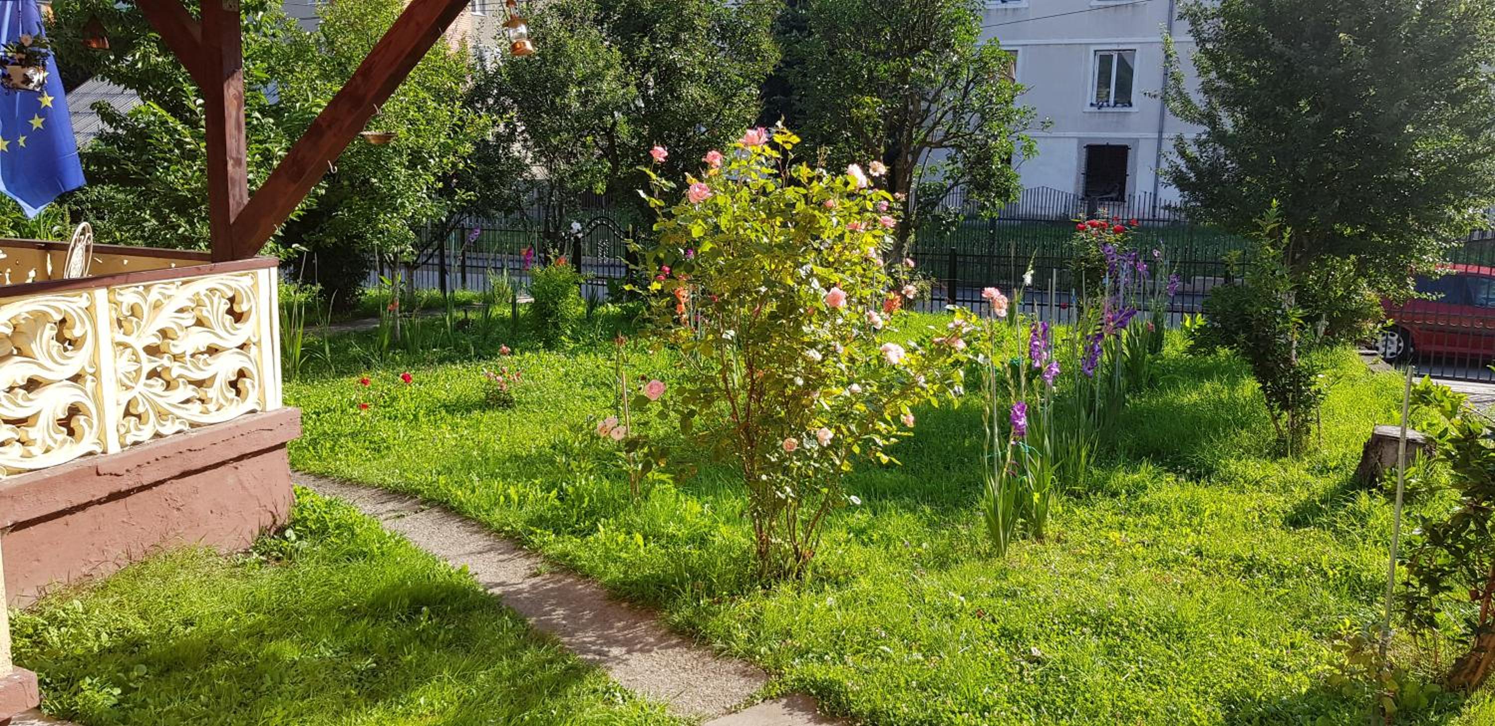 Photo 29