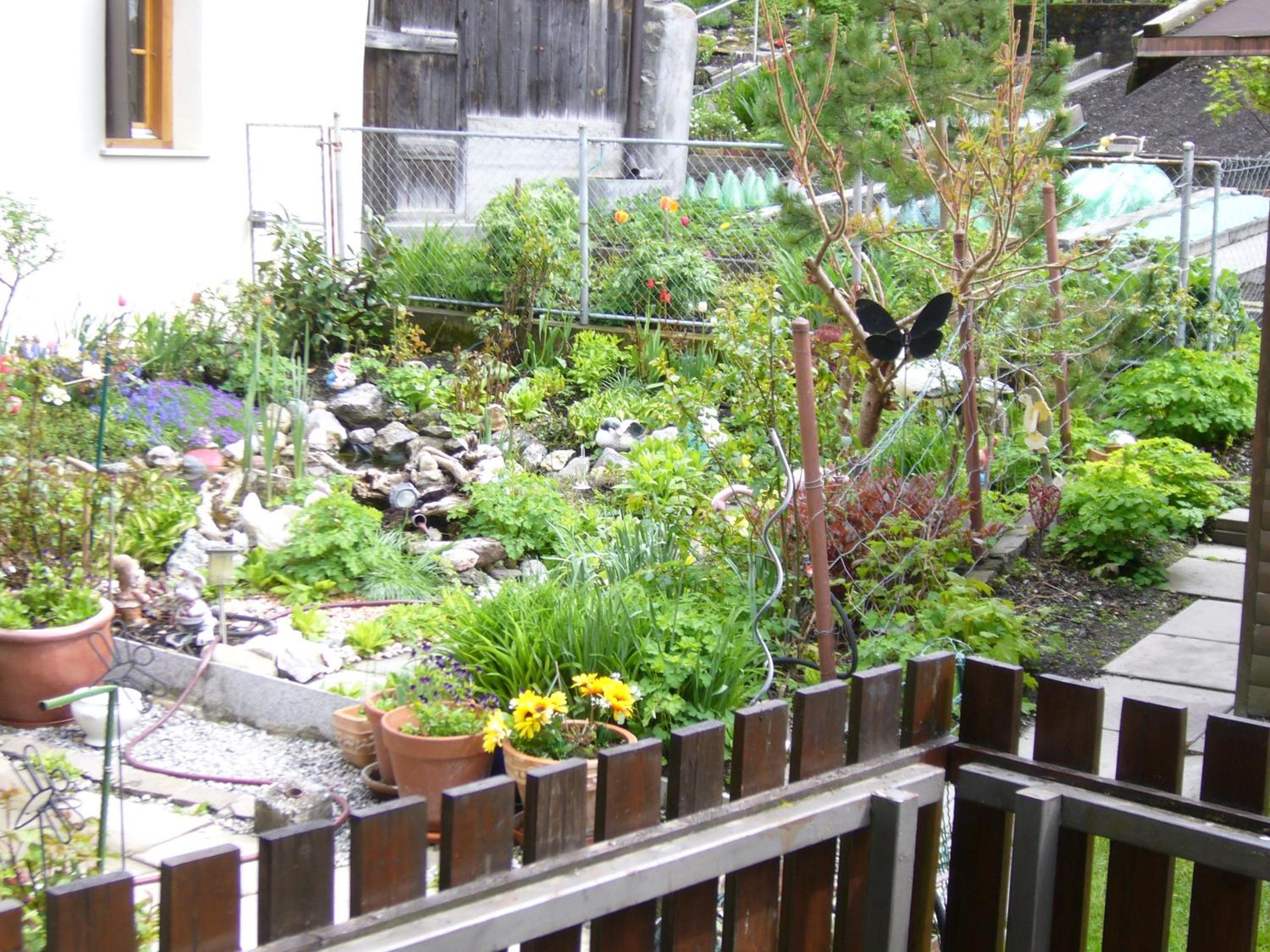 Photo 8