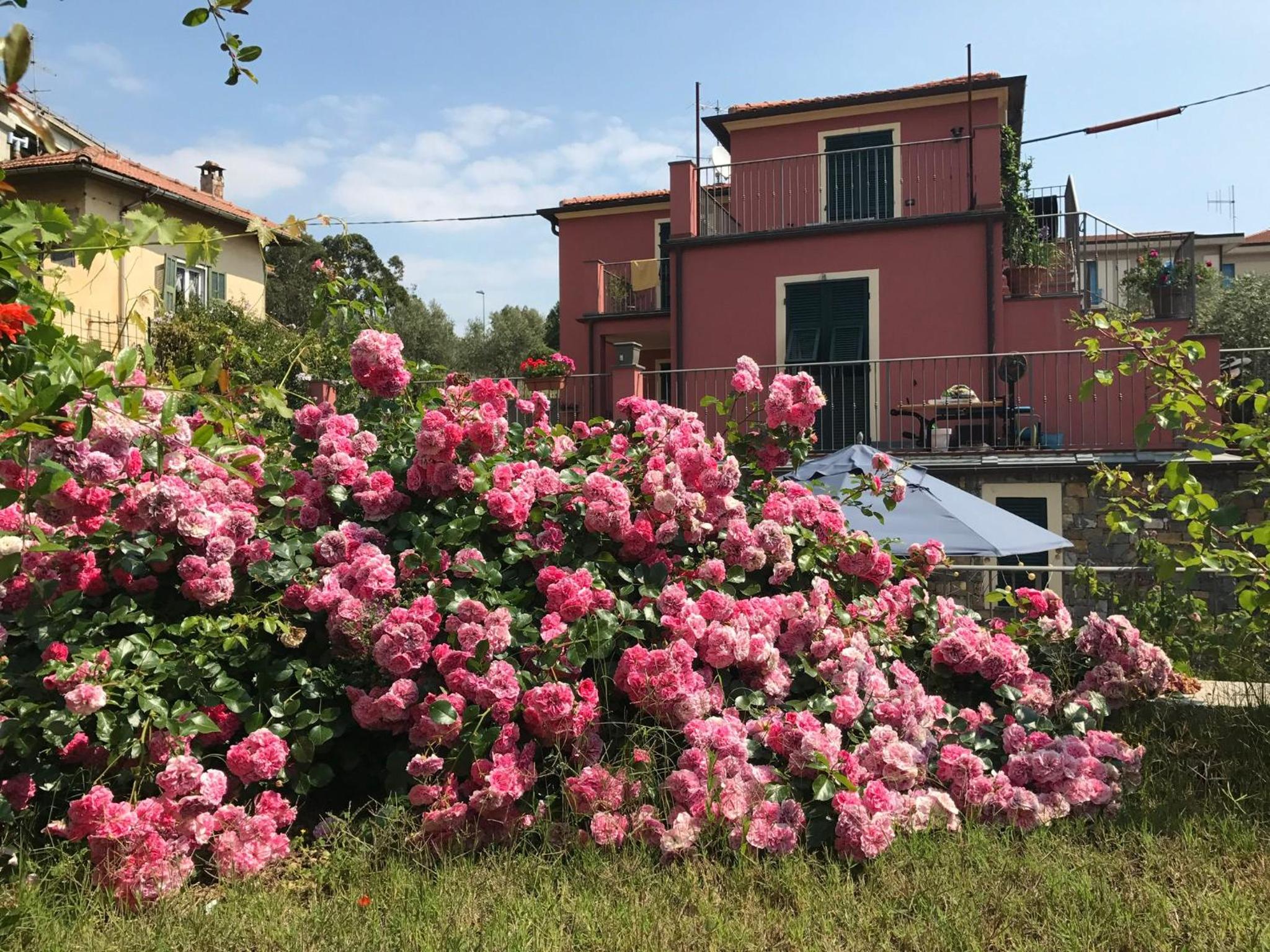 Casa Girasole 600 mt dal mare view 3
