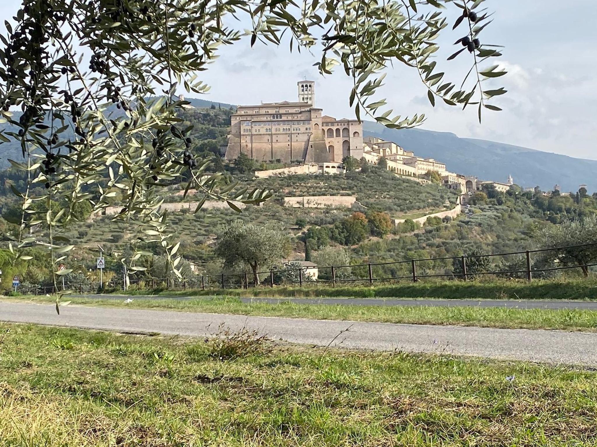 Agriturismo Il Girasole Assisi