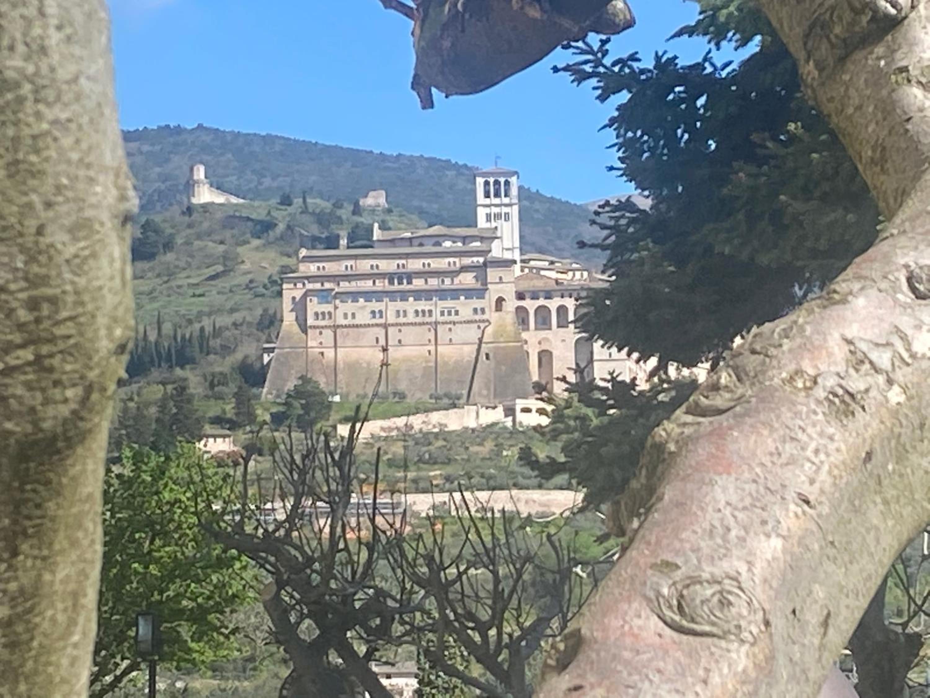 Agriturismo Il Girasole Assisi