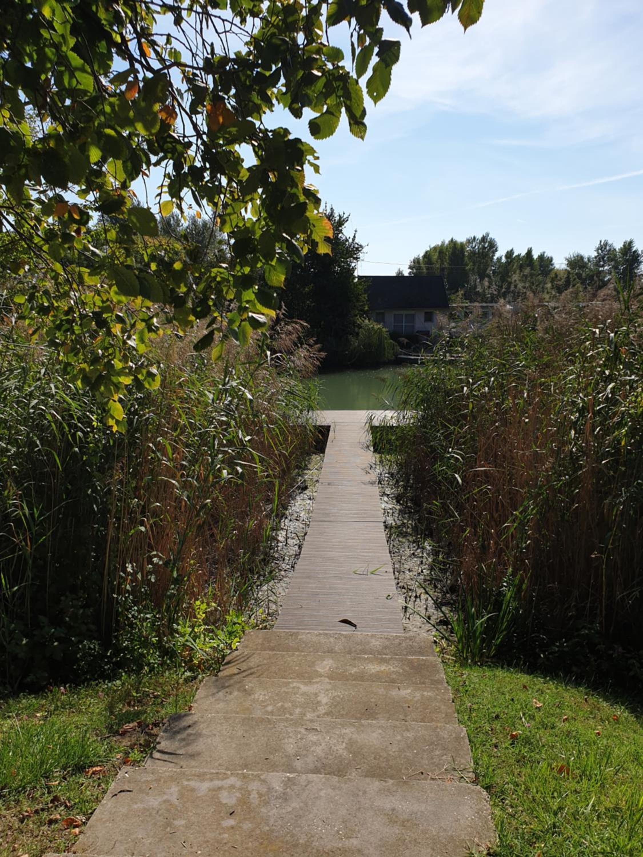 Photo 35