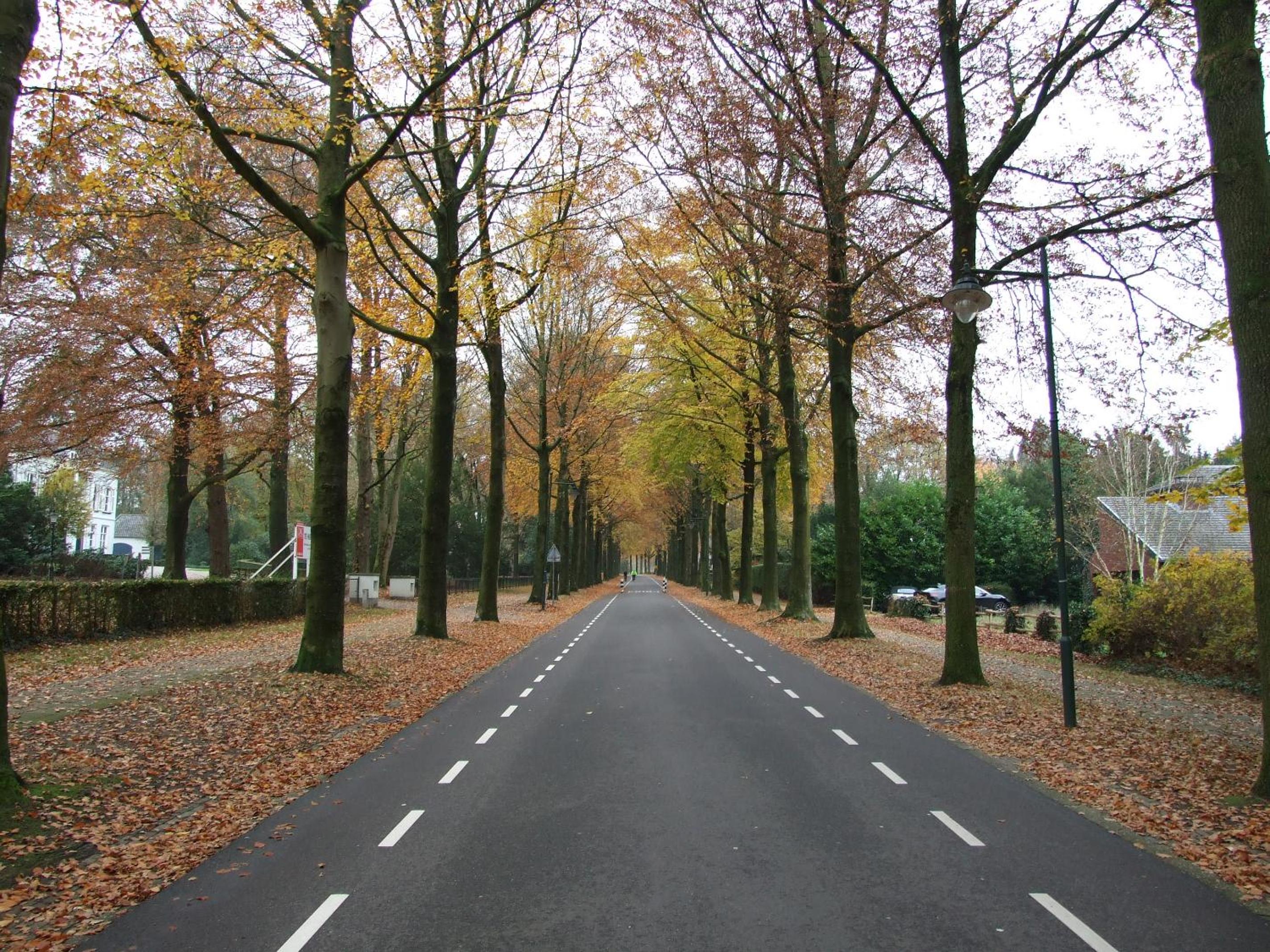 Meneer Pos view 3