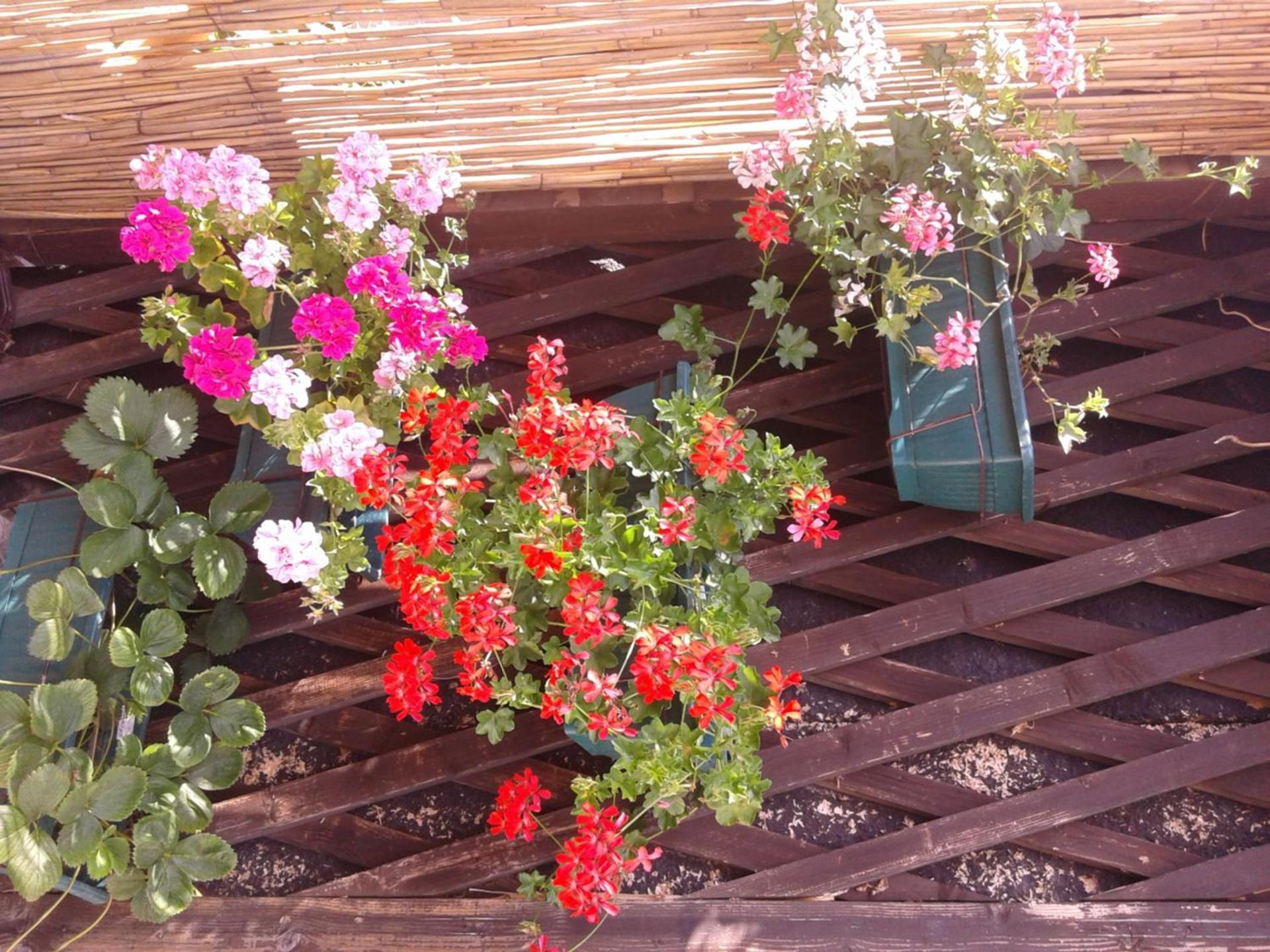 Photo 33