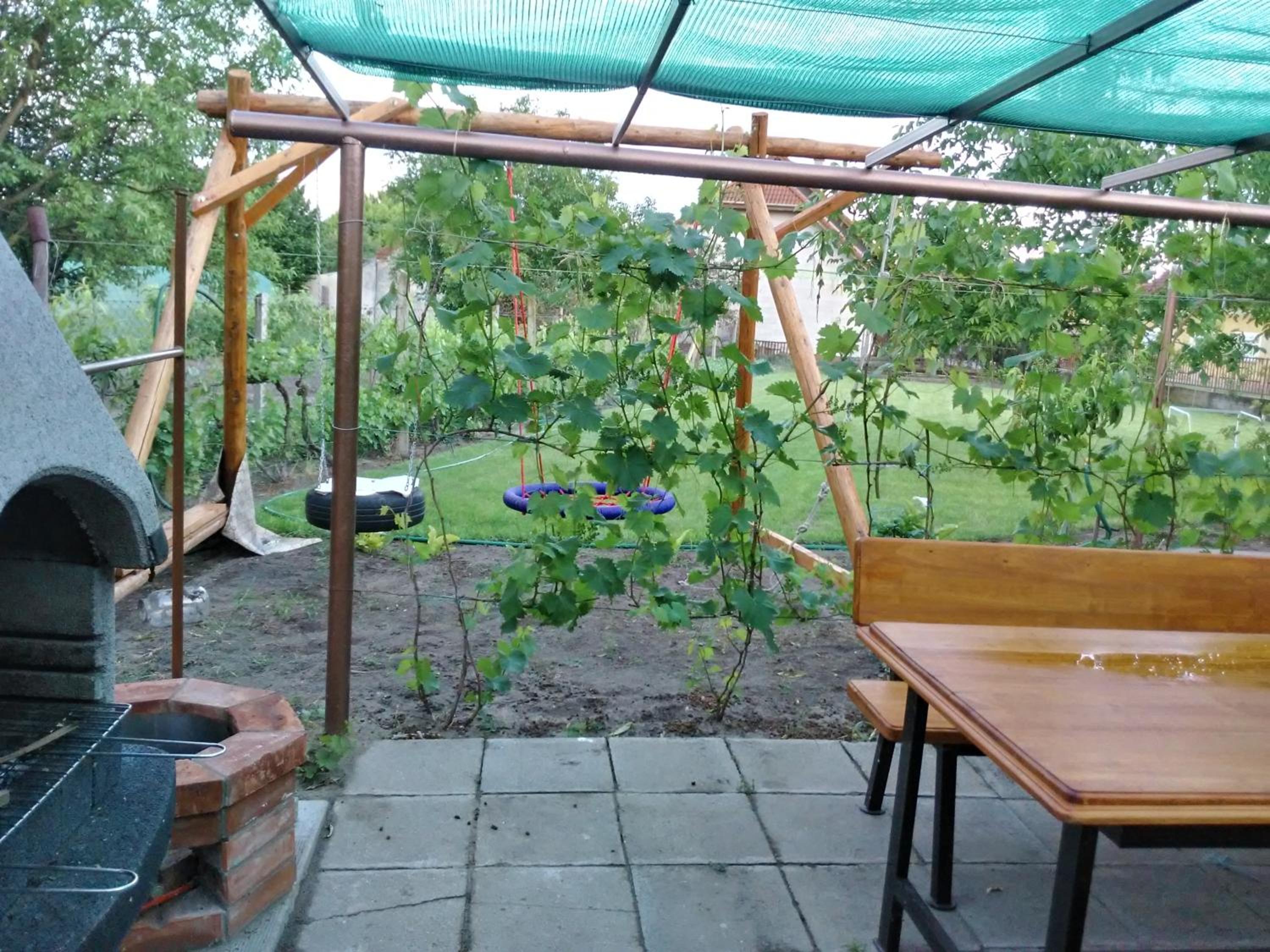 Photo 41