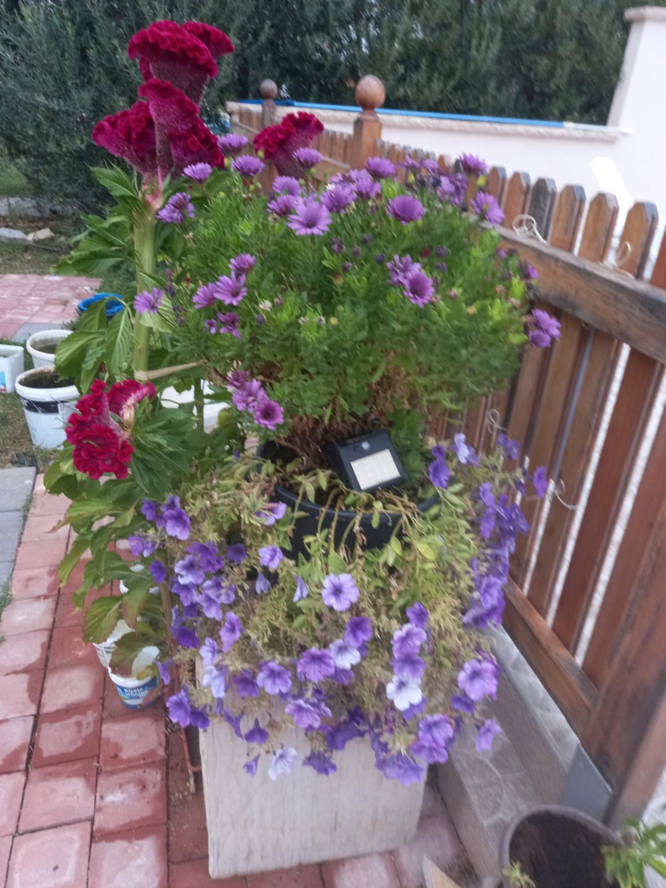 Photo 26