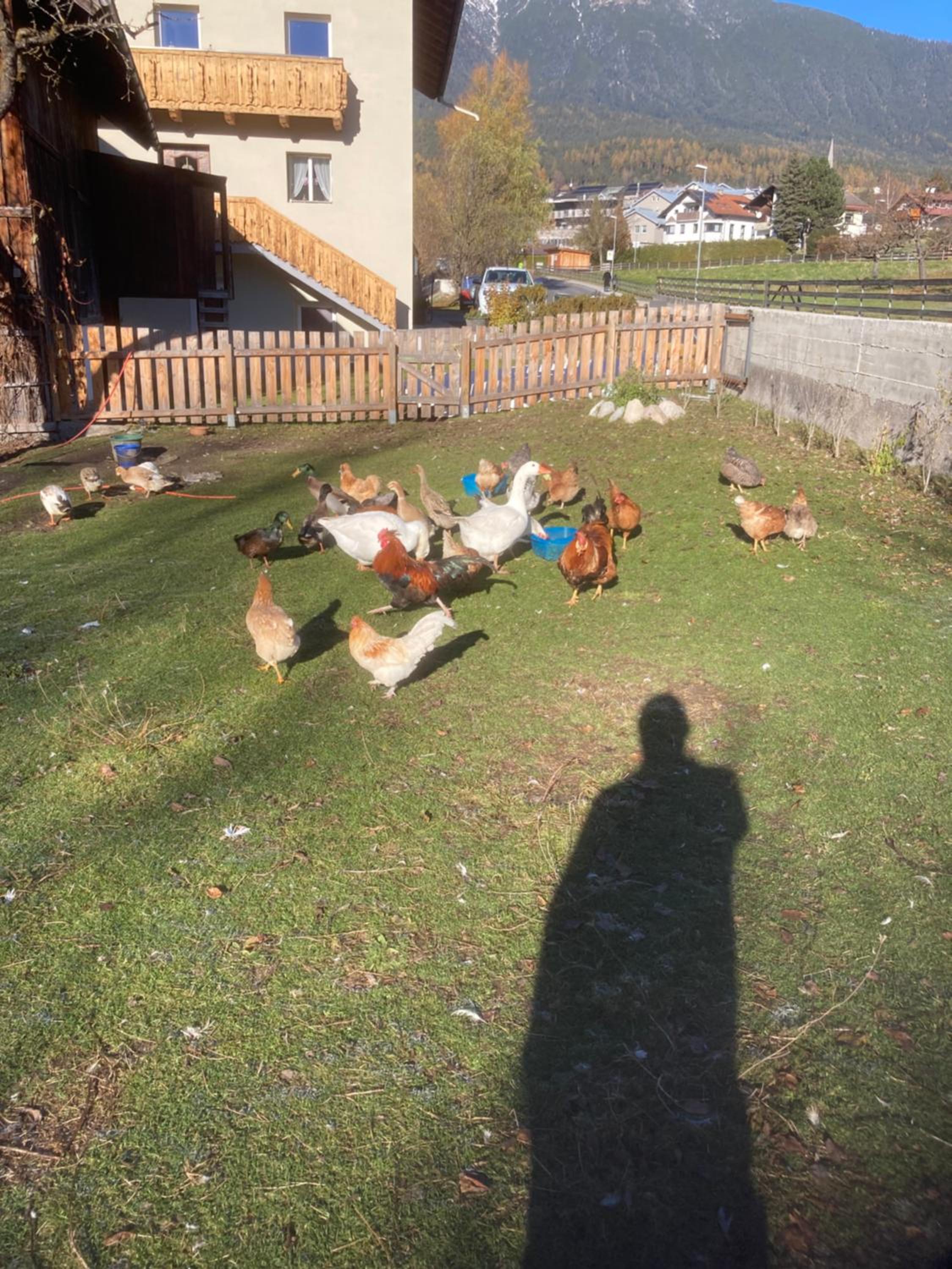 Photo 17