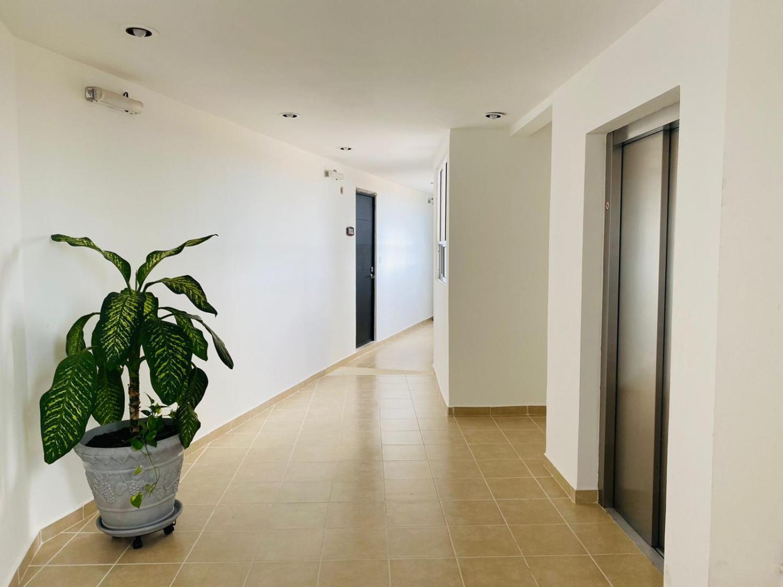 Apartment for rent in Cancun