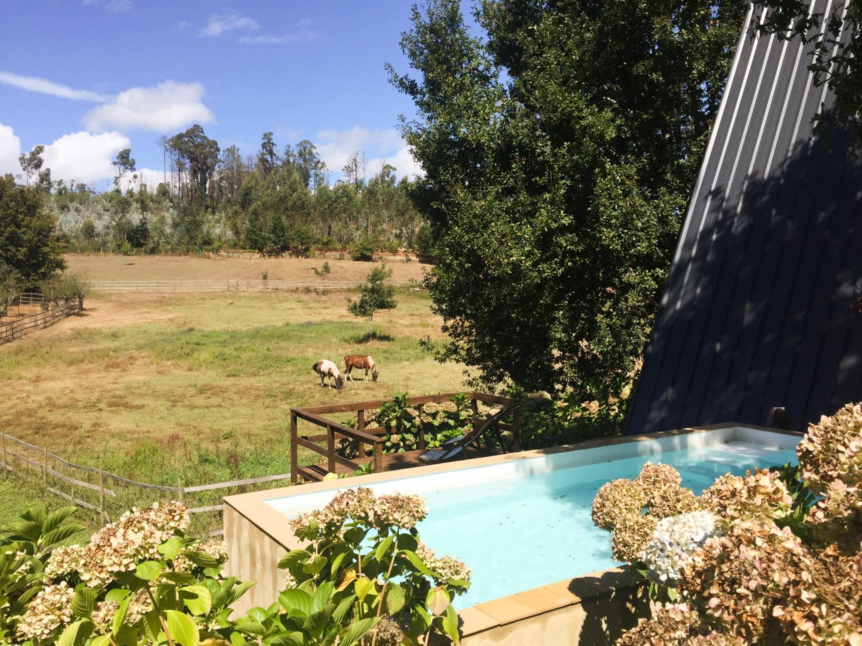 Vale da Silva Villas - Quinta