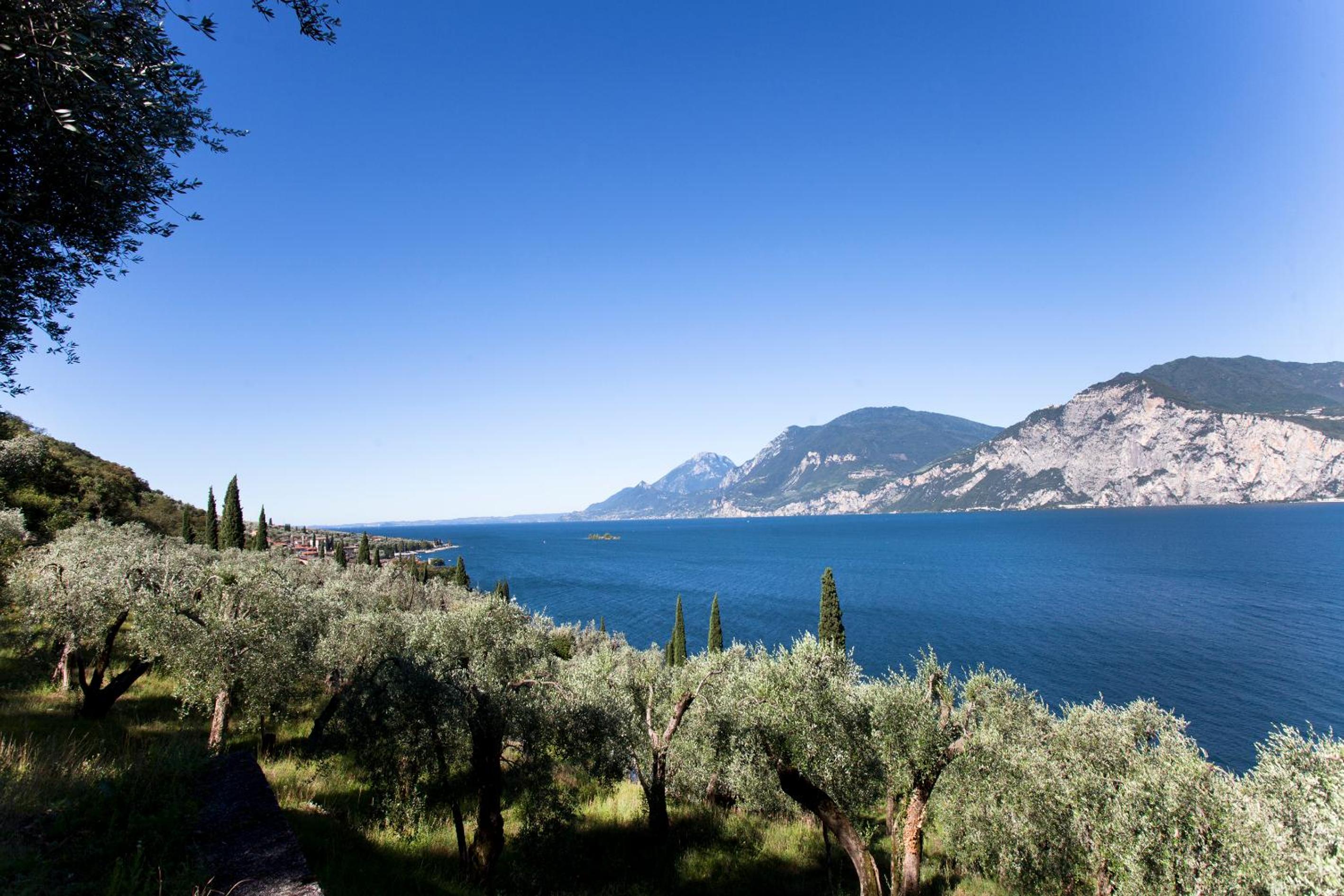 Residence le Balze view 3
