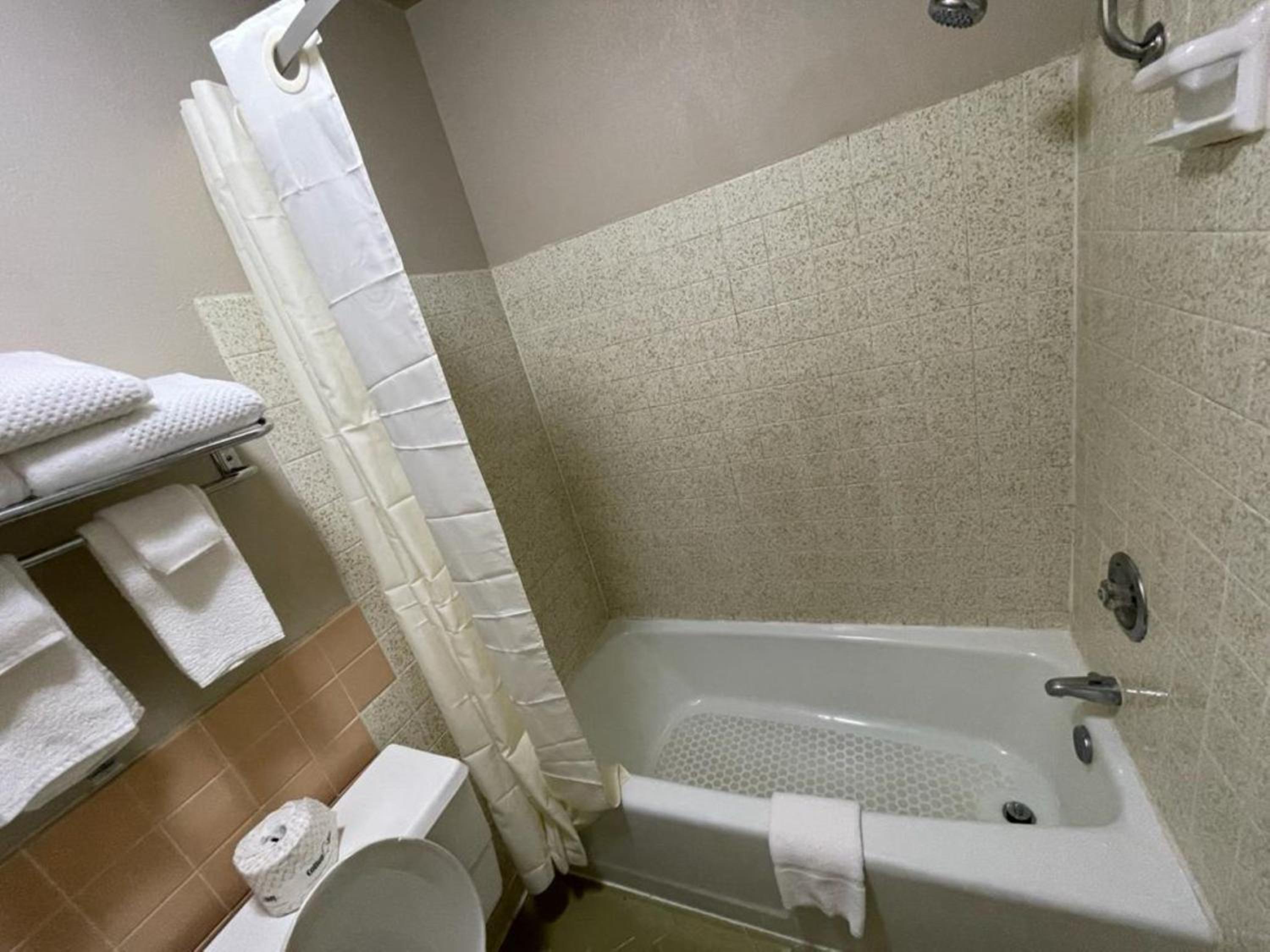 Emporia Vacations - Knights Inn  Suites Emporia - Property Image 3