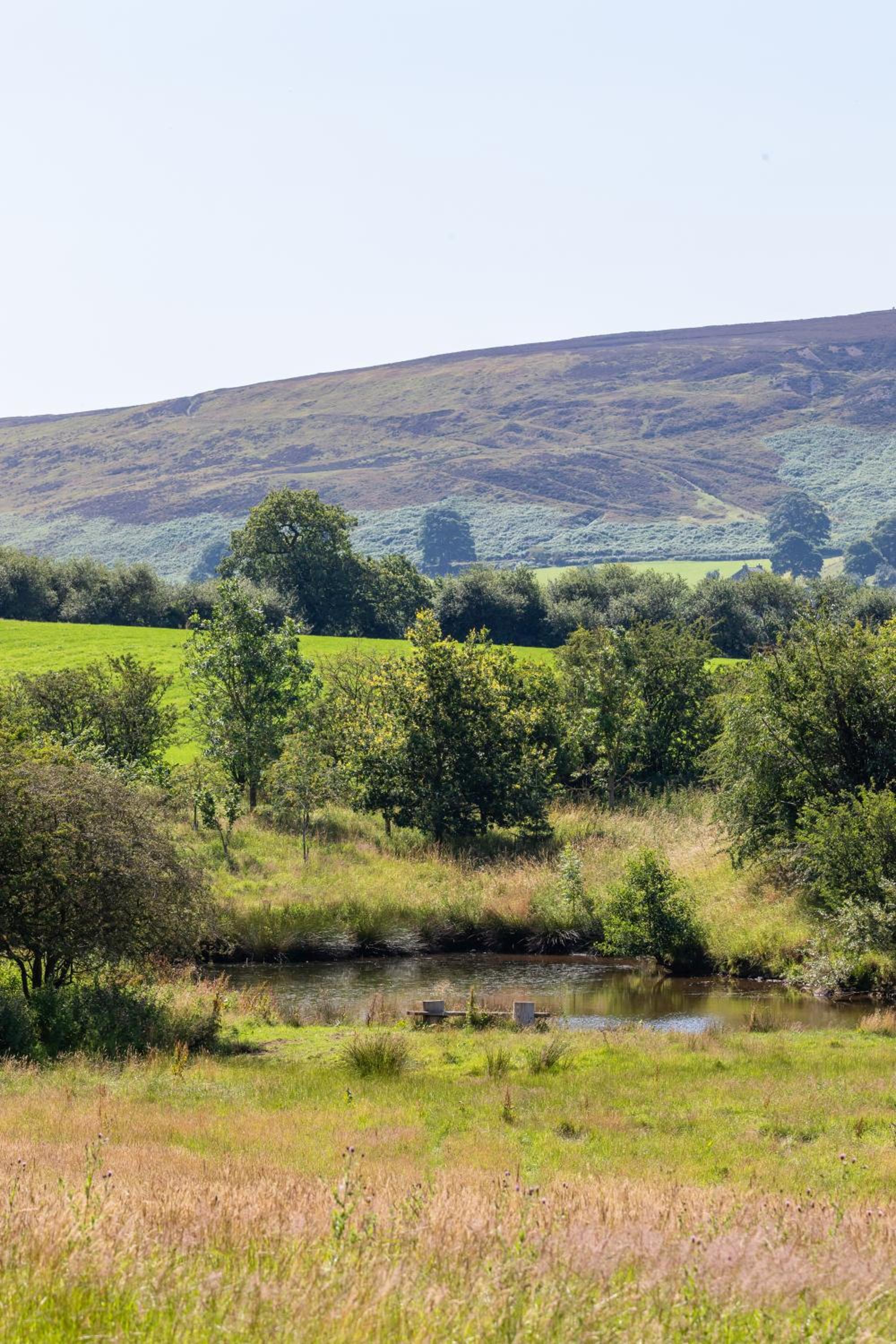 Beck cottage view 3