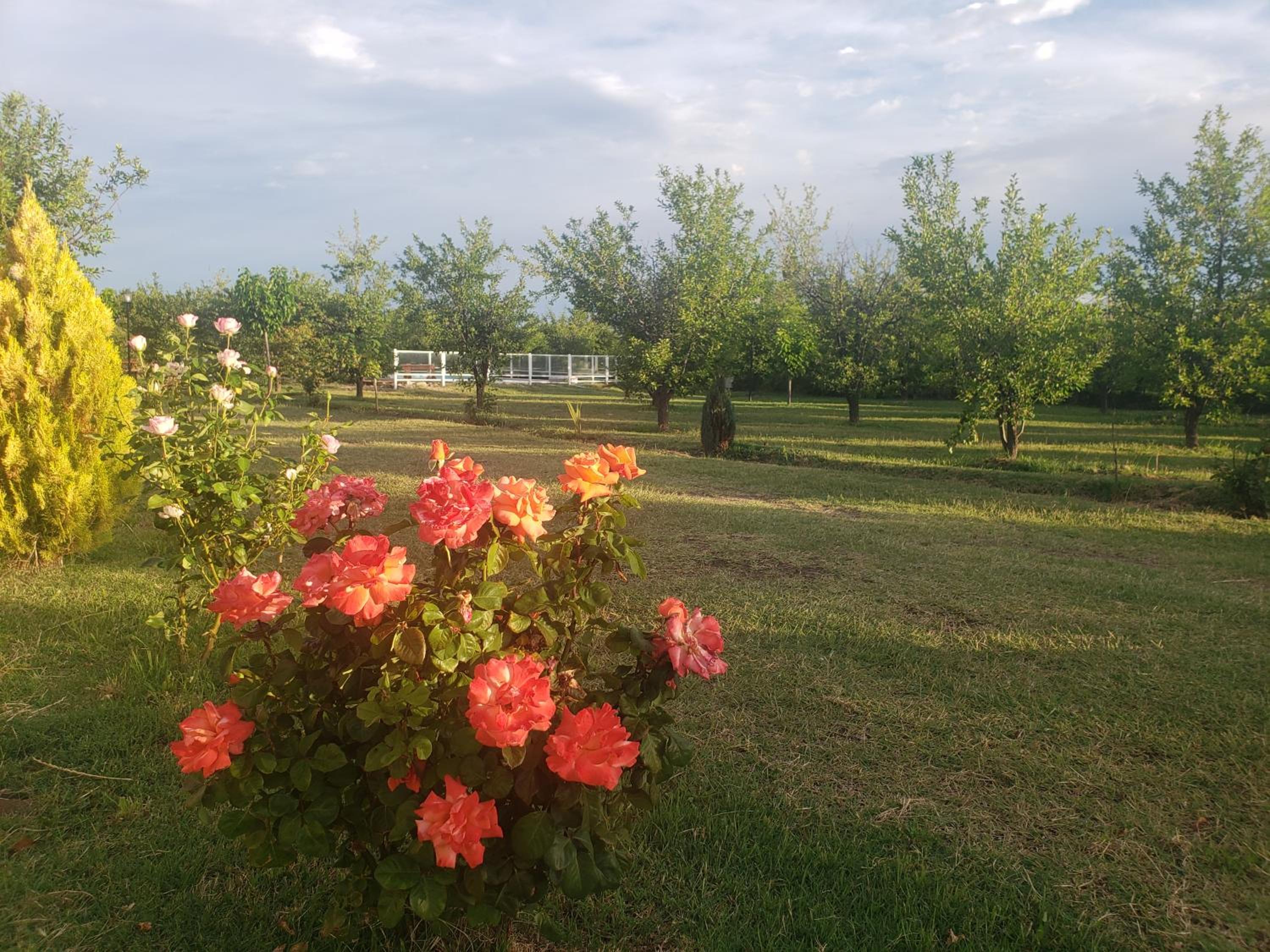 Altos del Atuel