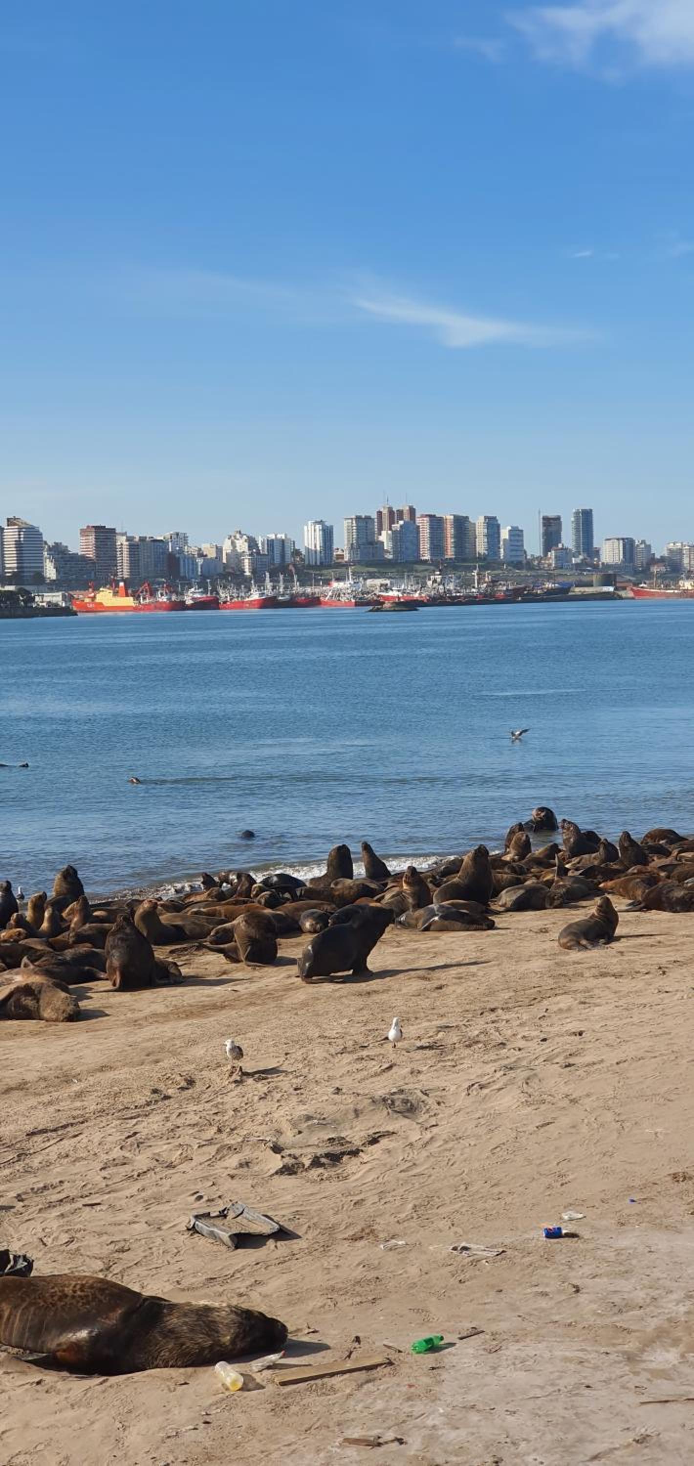 Mi Lugar en el Mundo