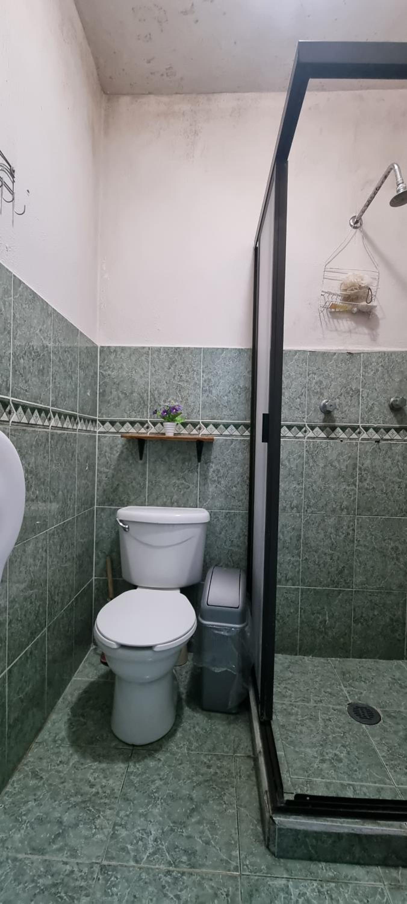 HOM Roma view 3