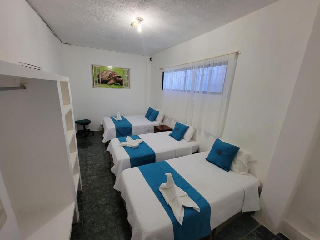 Hostal Gosén