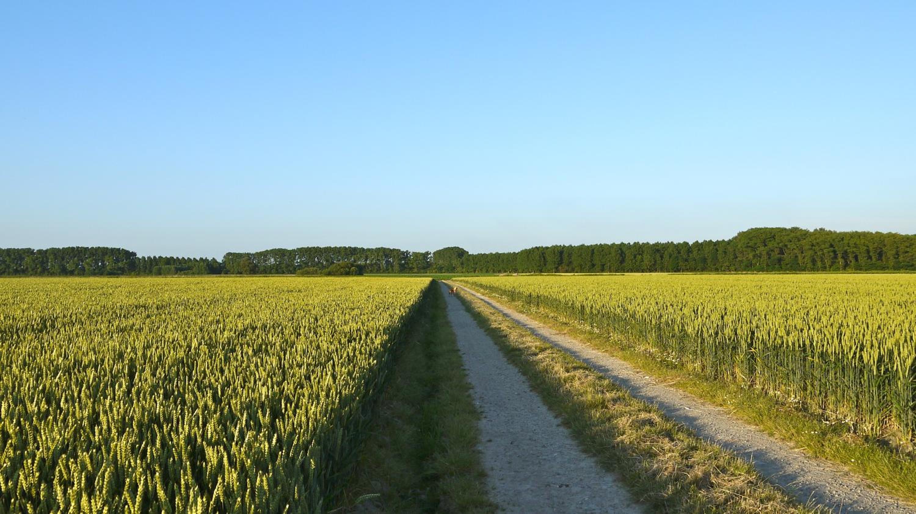B&B Hemel & Haard
