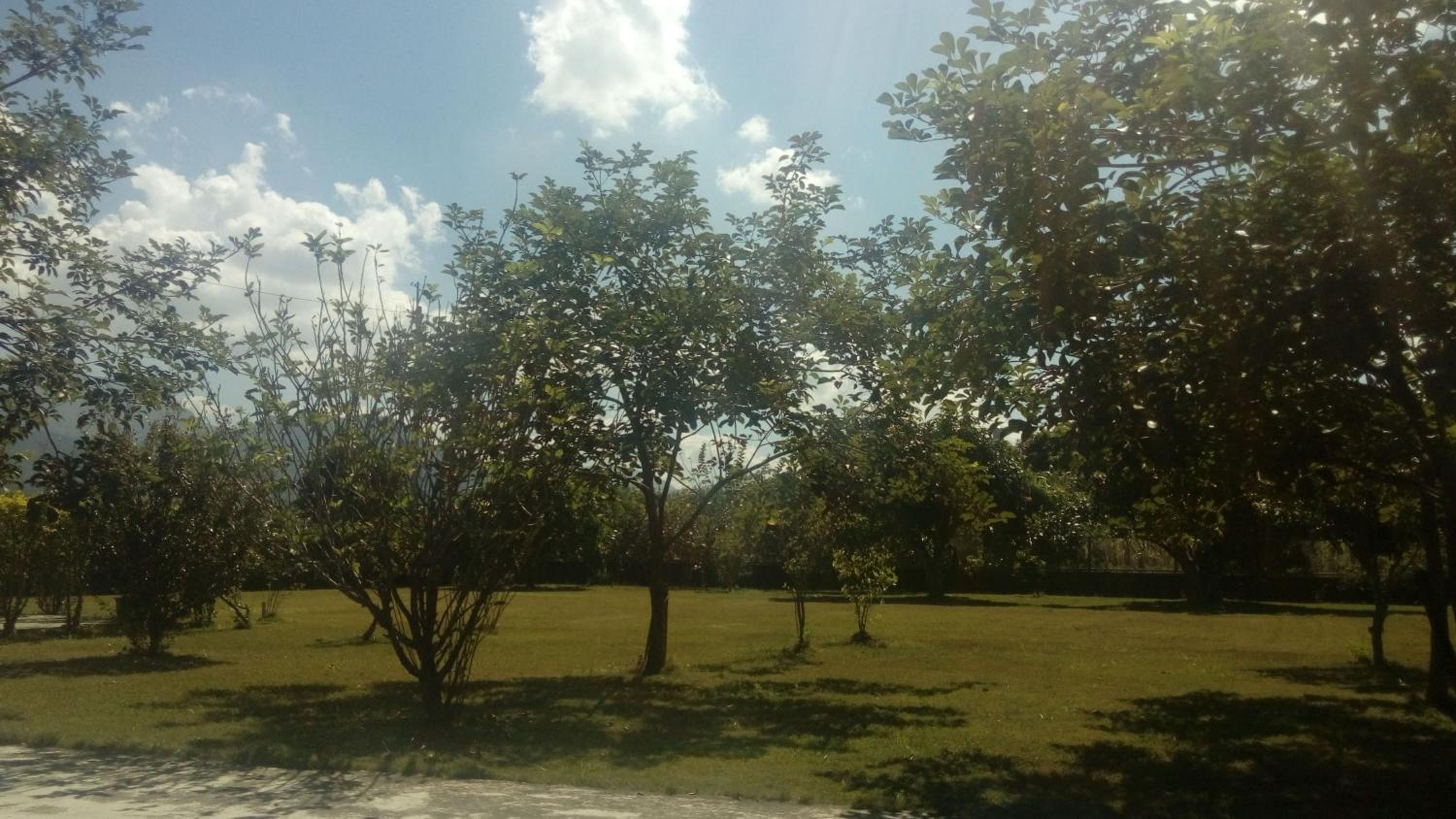 Joel's Garden 悠爾庭園古厝民宿