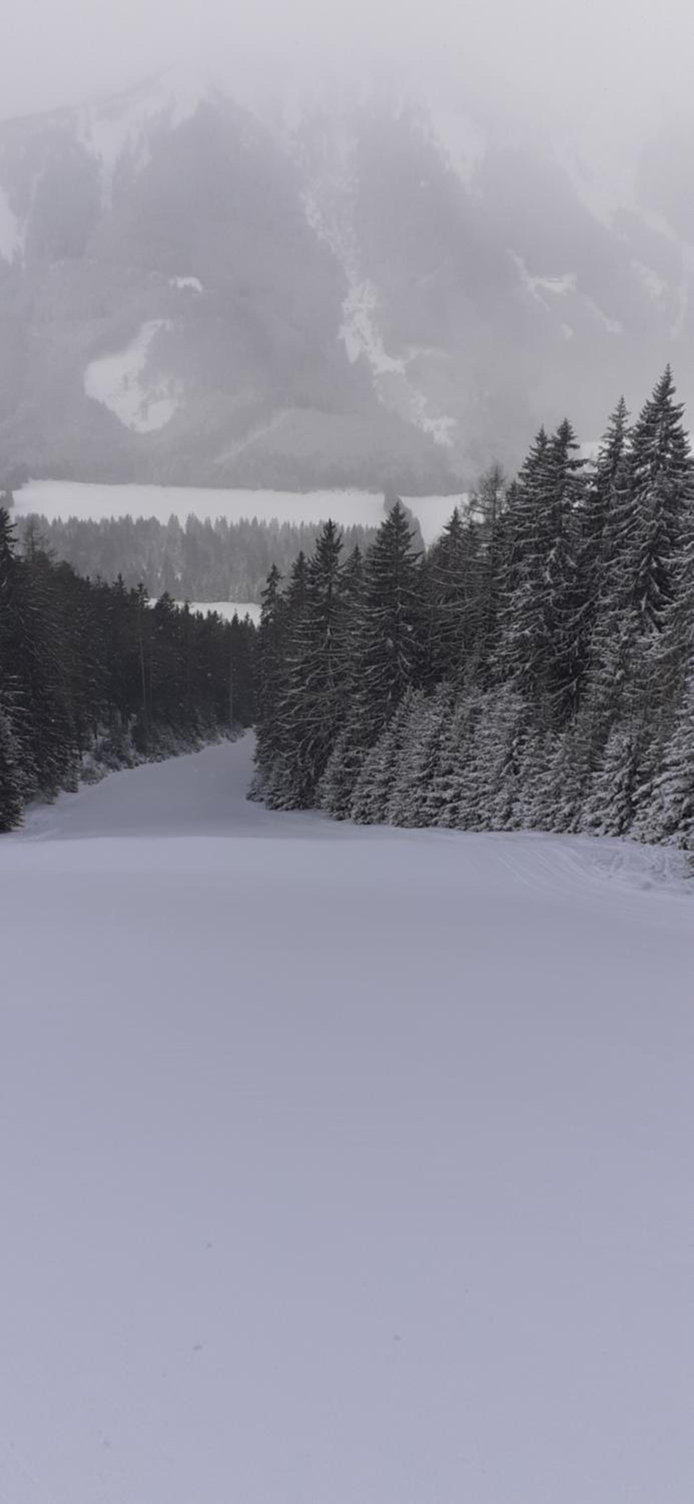 Zirbenhütte
