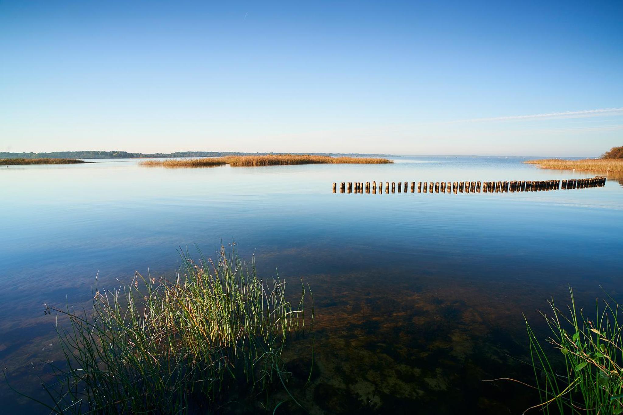 Les Cottages Du Lac