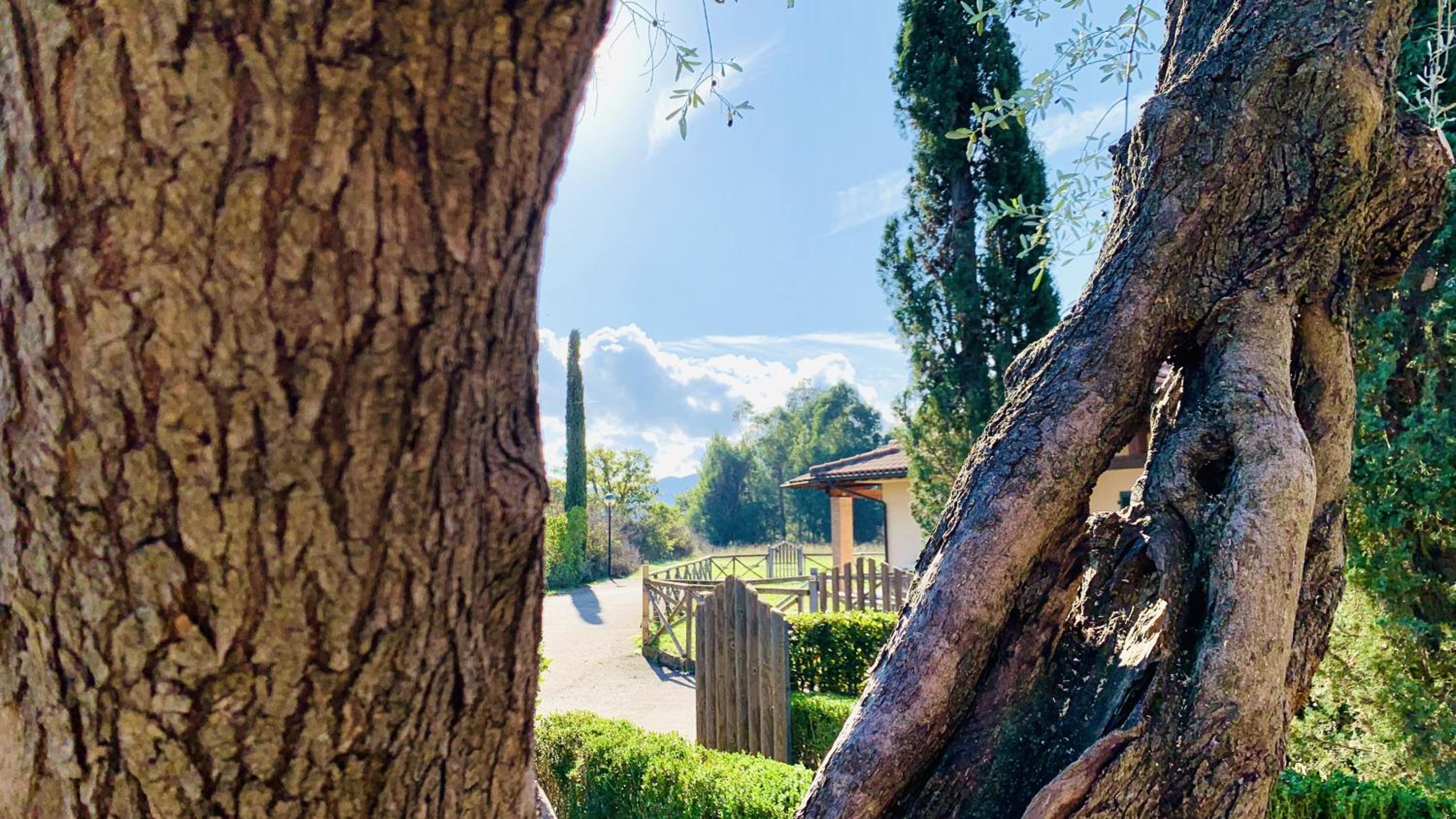 Casa in Maremma Tuscany Village