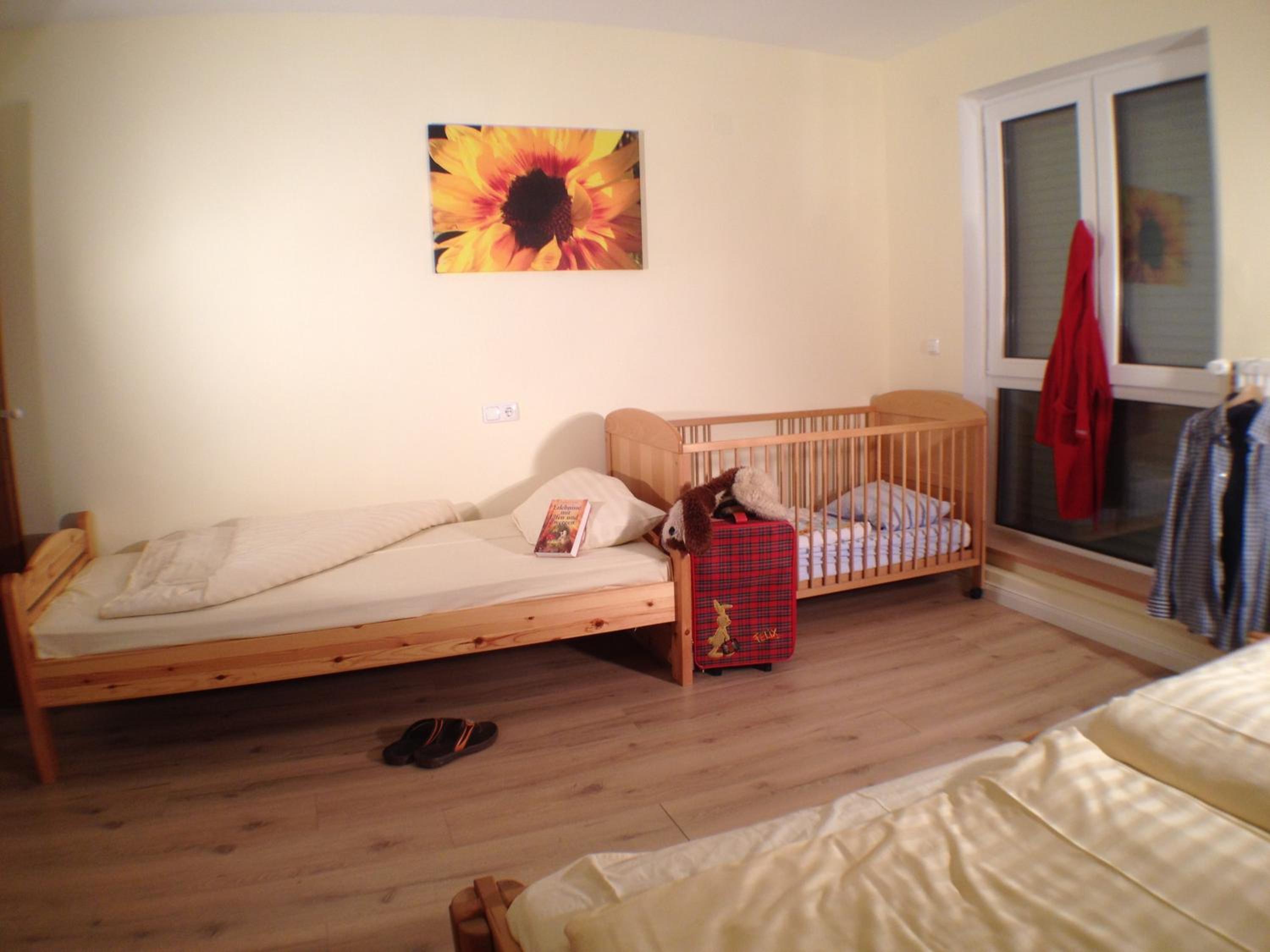Photo 51