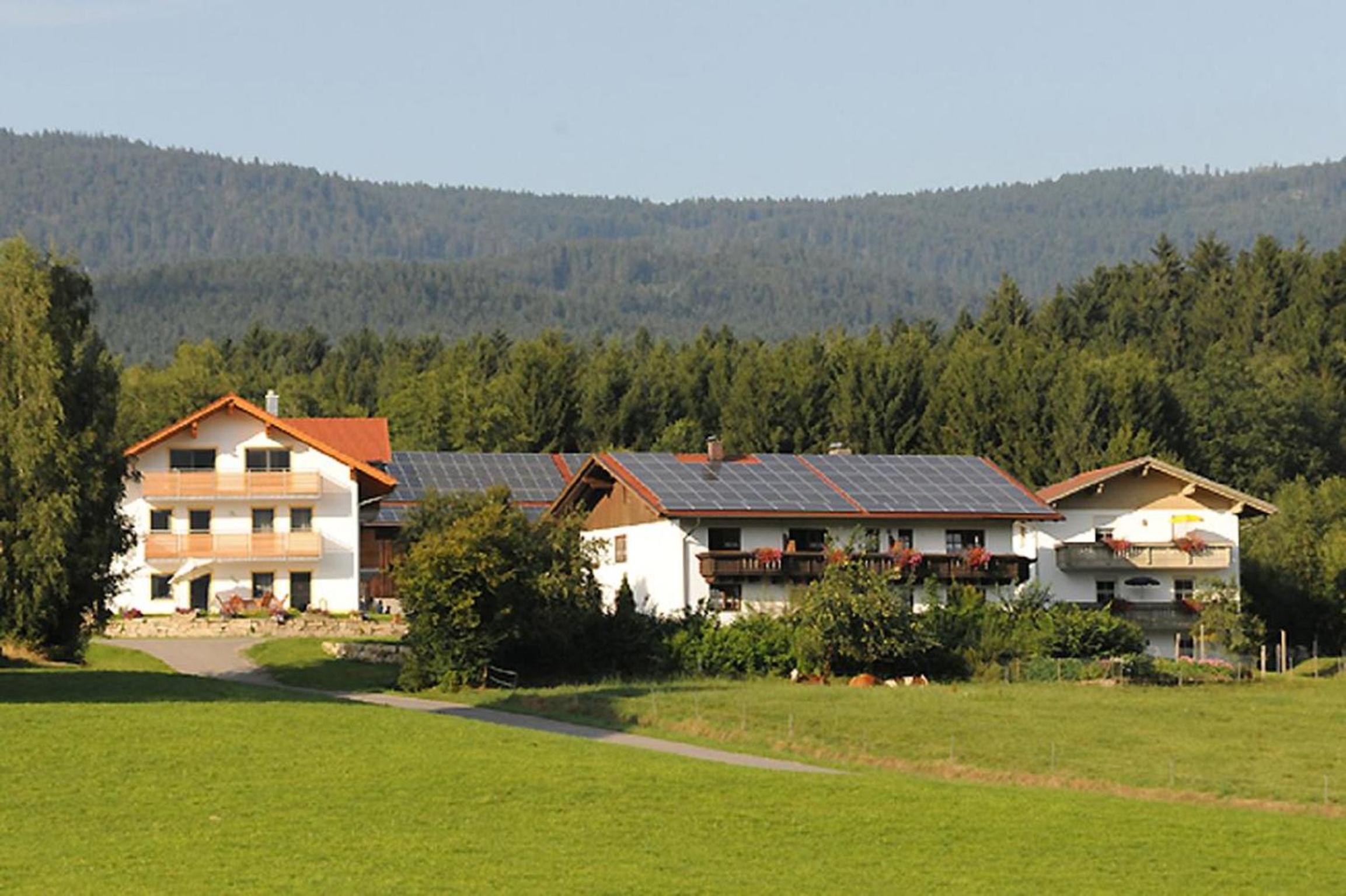 Exenbacher Hof - Pension view 5