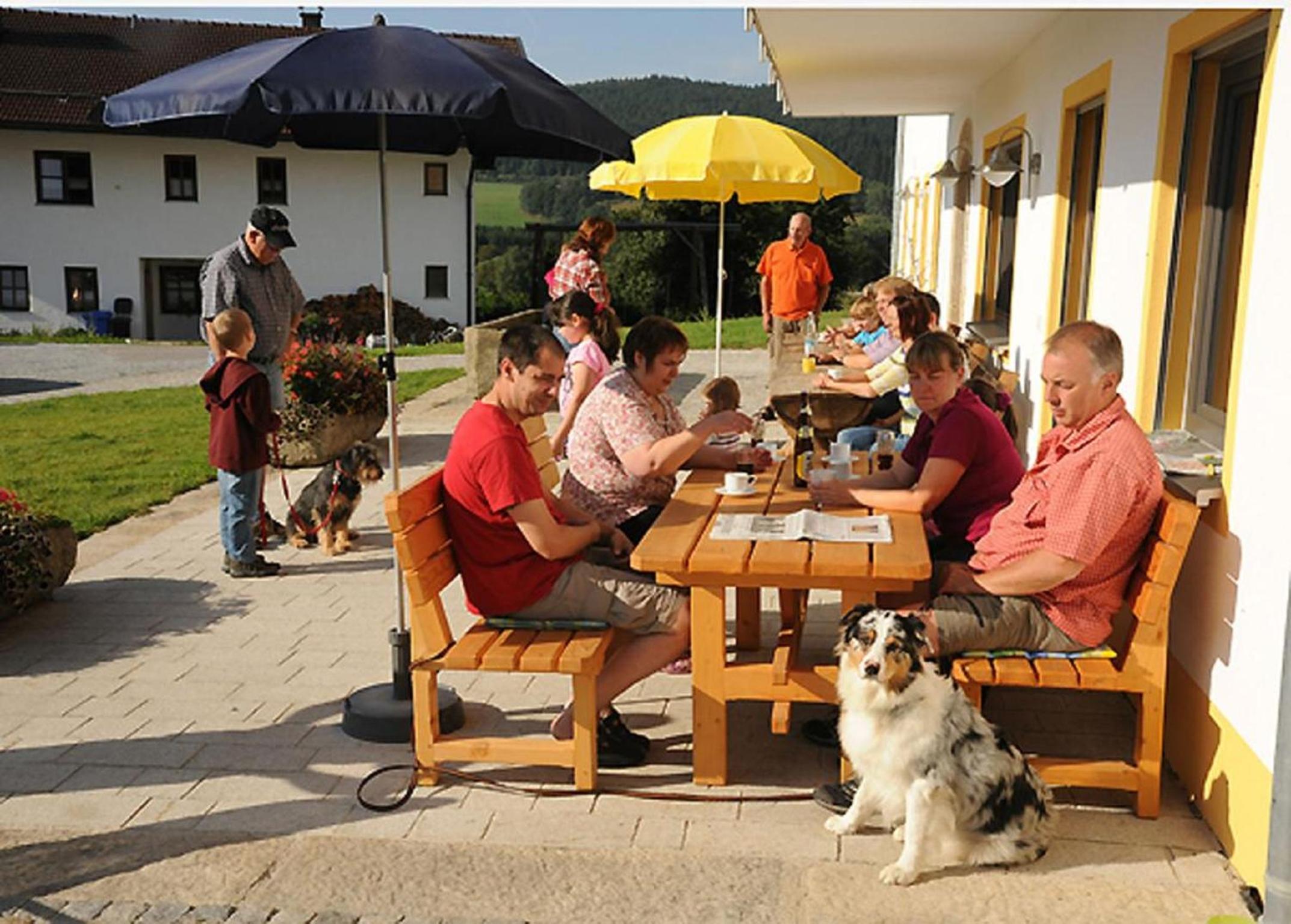 Exenbacher Hof - Pension view 4