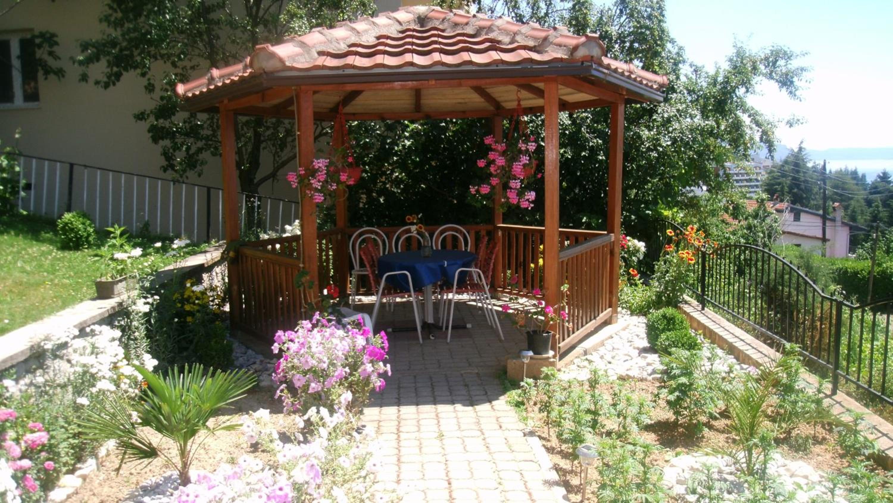 Photo 11