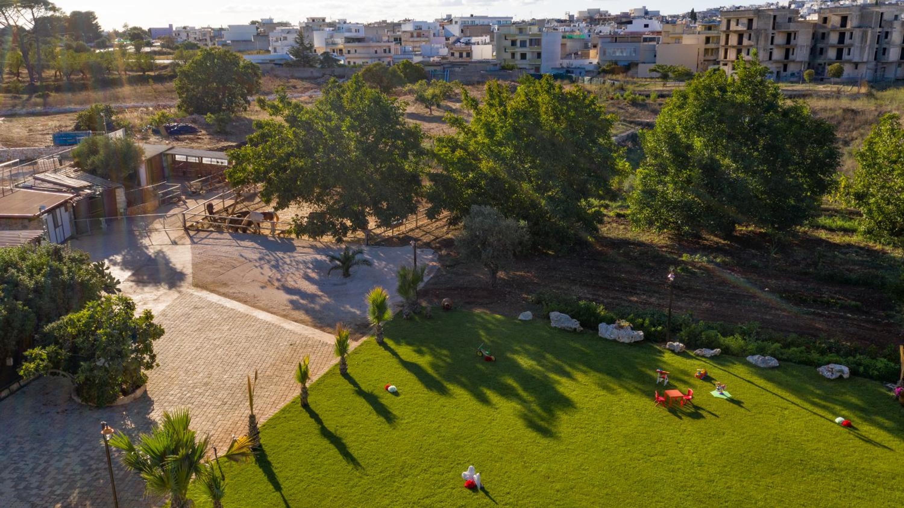activities & amenities