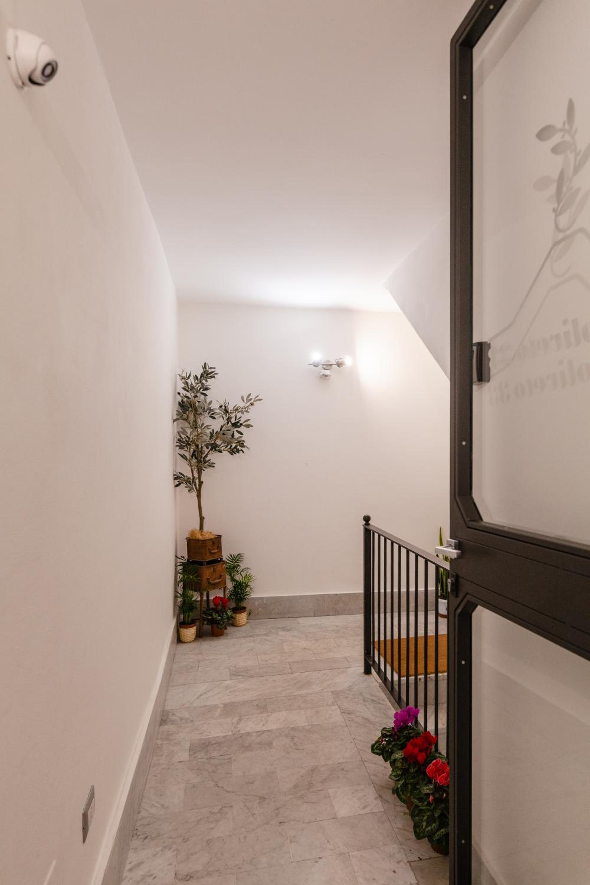 Monteoliveto 33