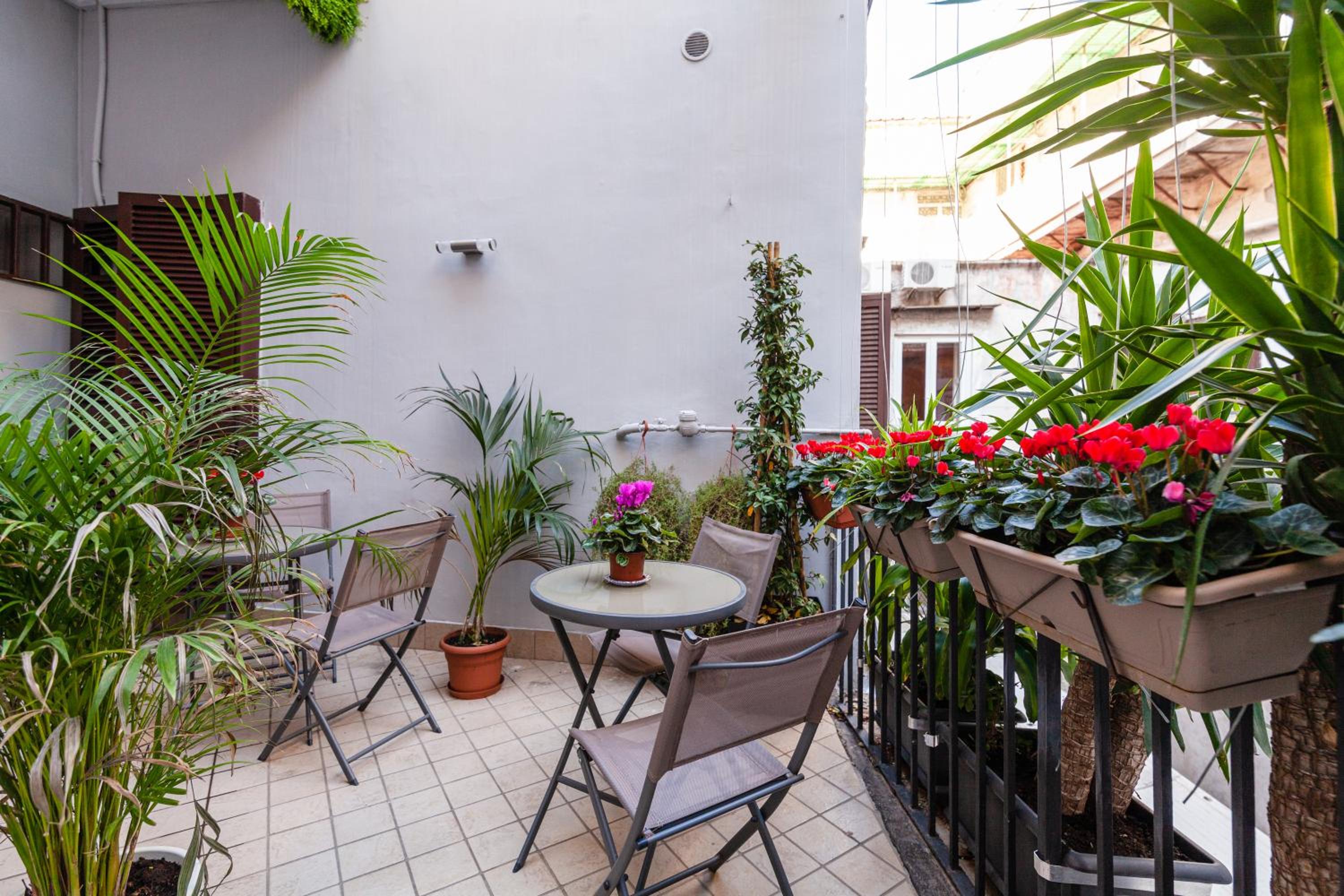 balance & terrace