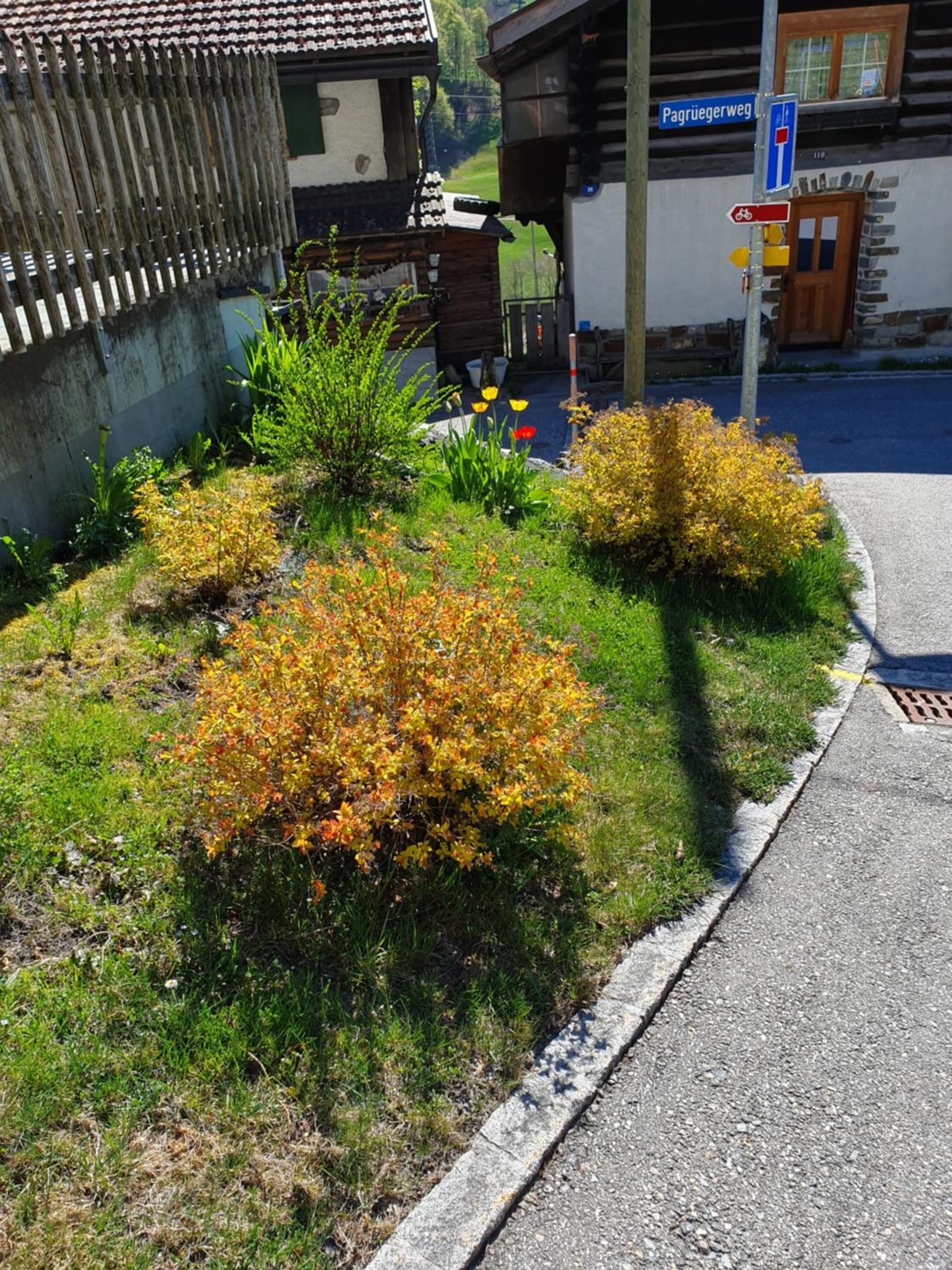 Rustico Pagrüeg
