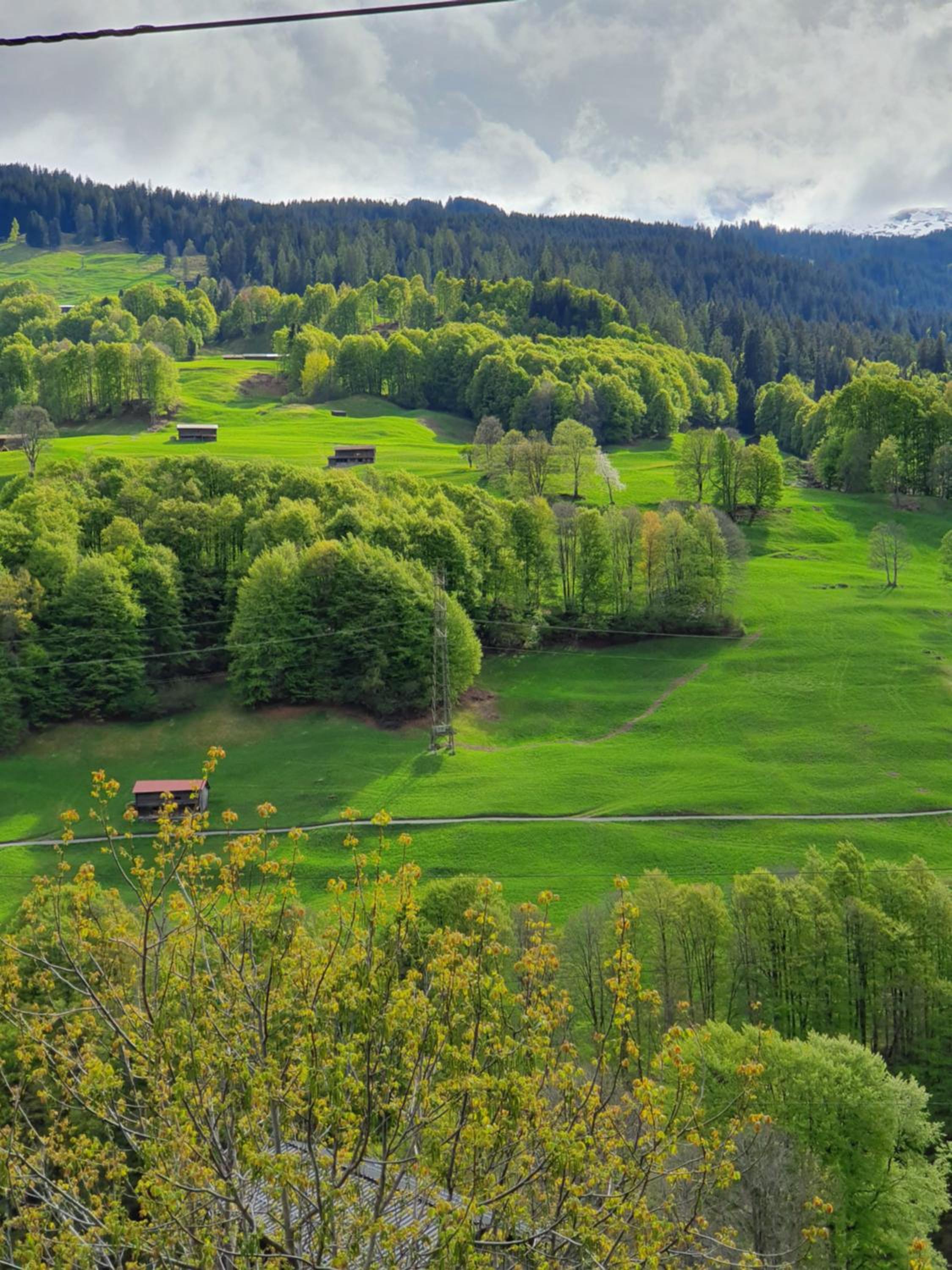 Rustico Pagrüeg