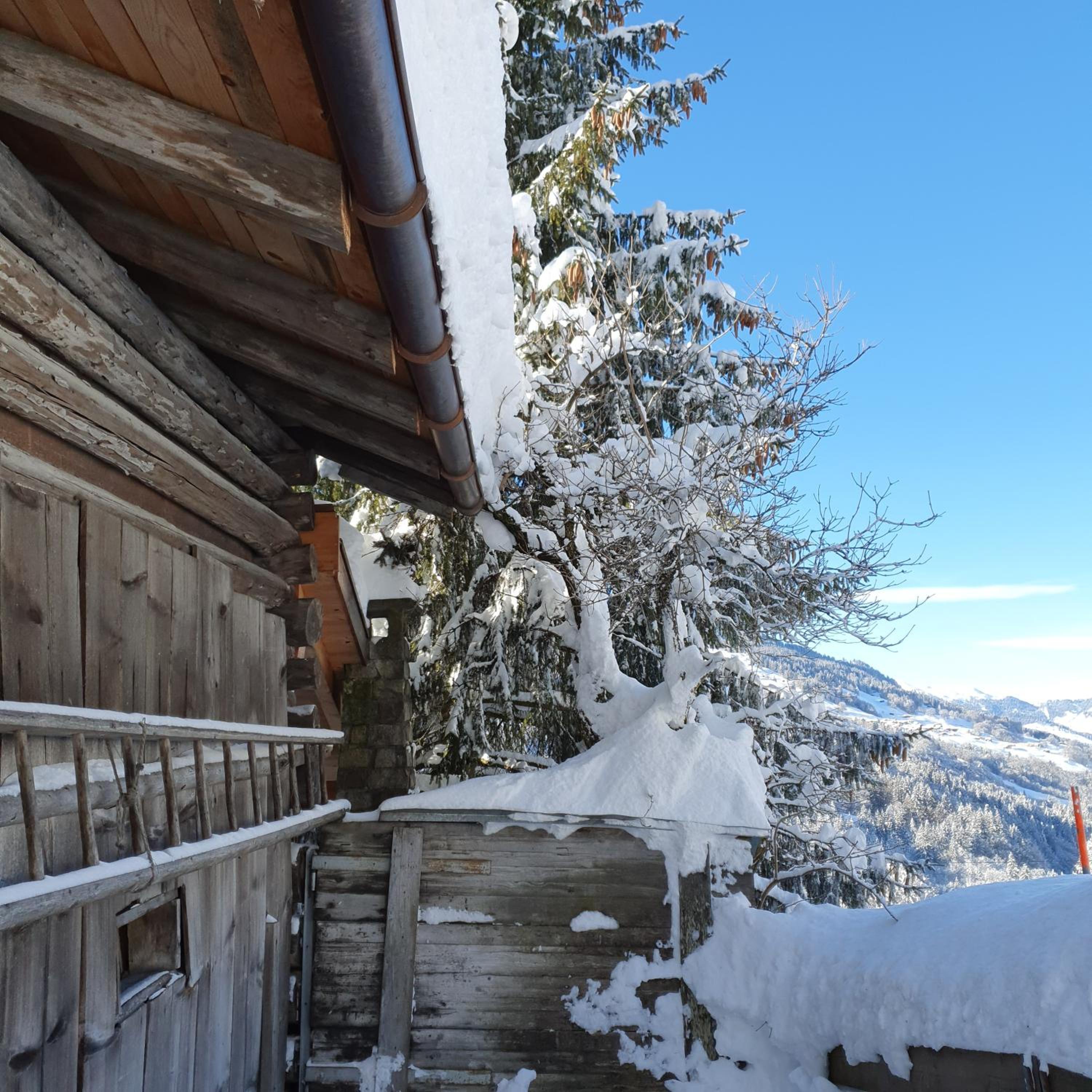 Rustico Pagrüeg