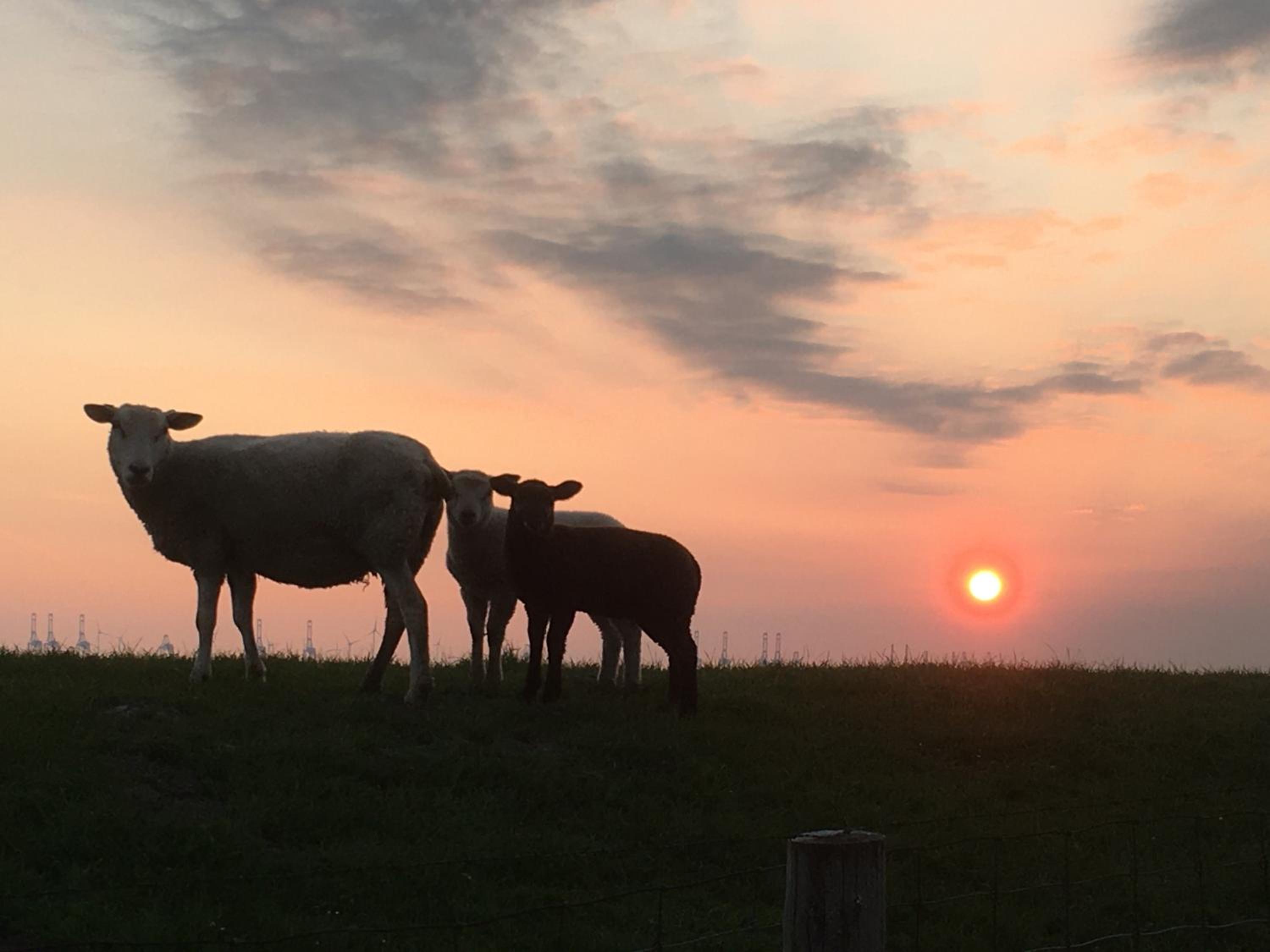 Annemaries Nordseehaus