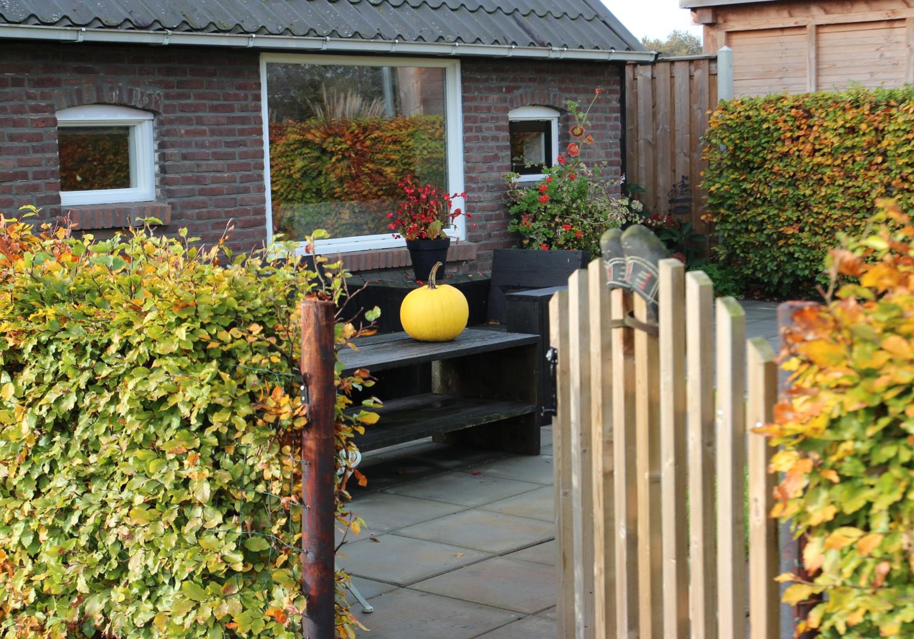 Vakantiehuis Bed en Breakfast in de Tuin view 5