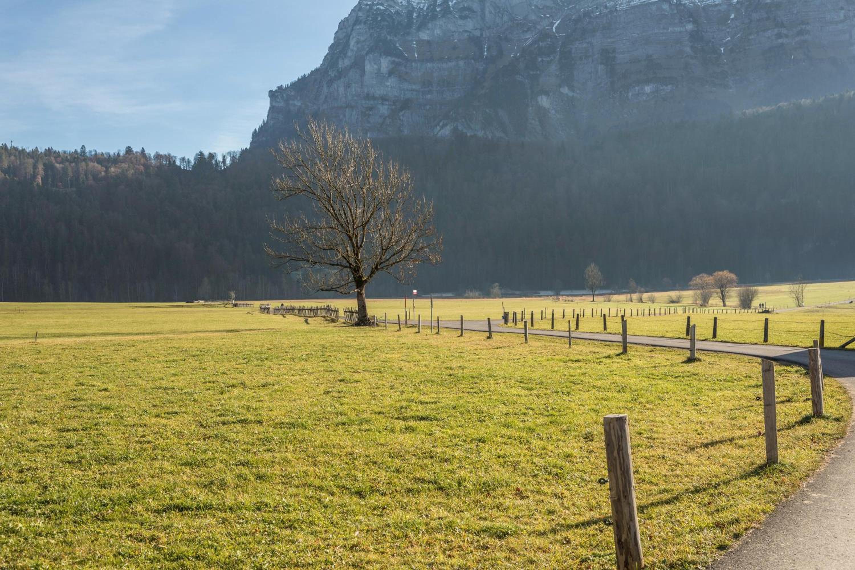 Wohnung Kanisfluhblick