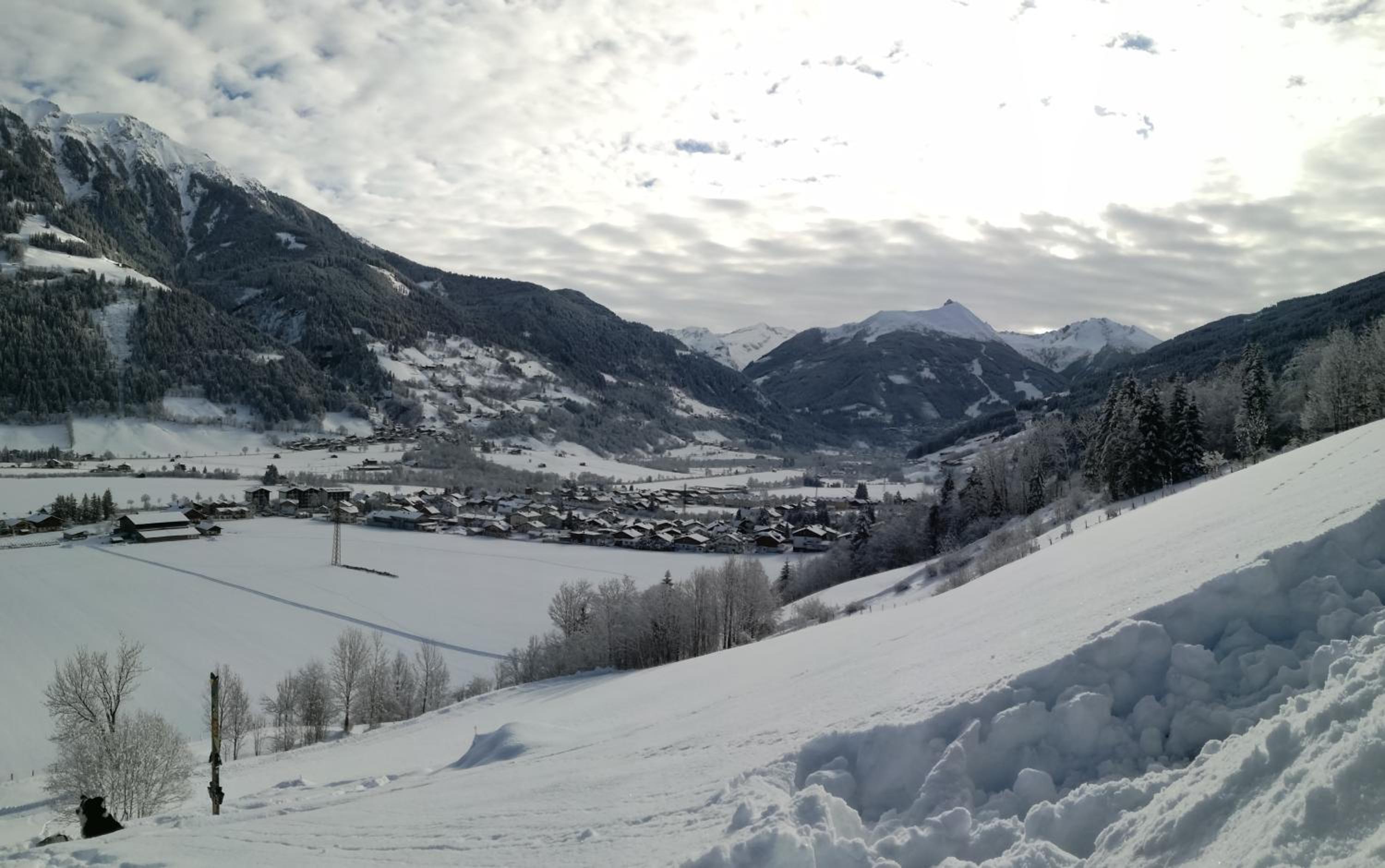 Stubnerbauer