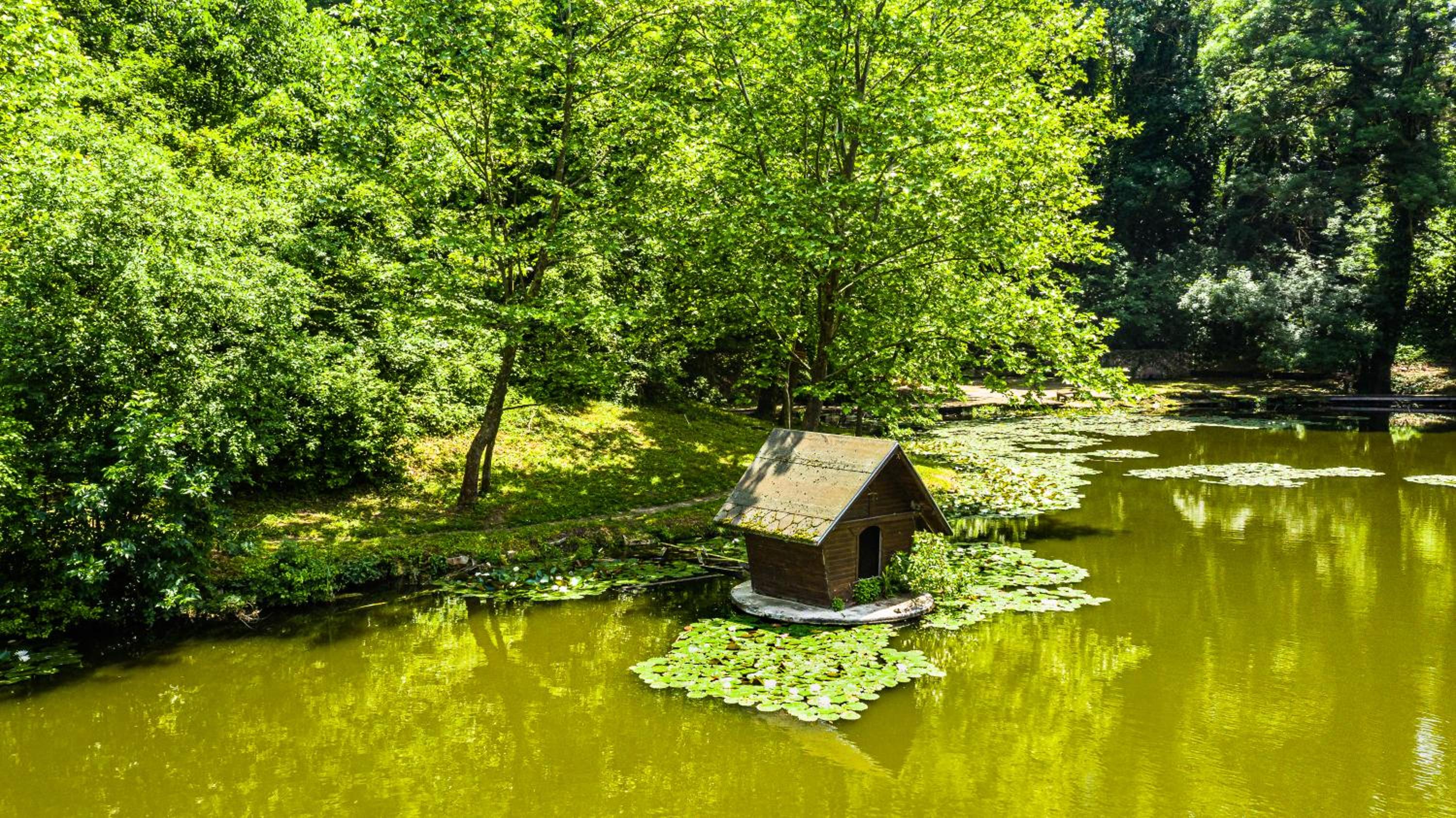 Вила Теkето I Vila Teketo Family Guest House