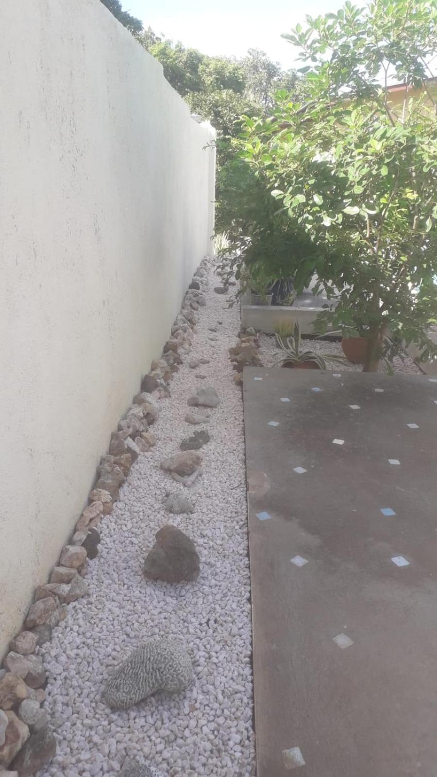 Happy Turtle Apartments