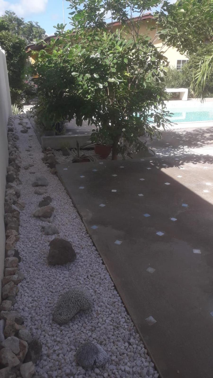 Happy Turtle Apartments
