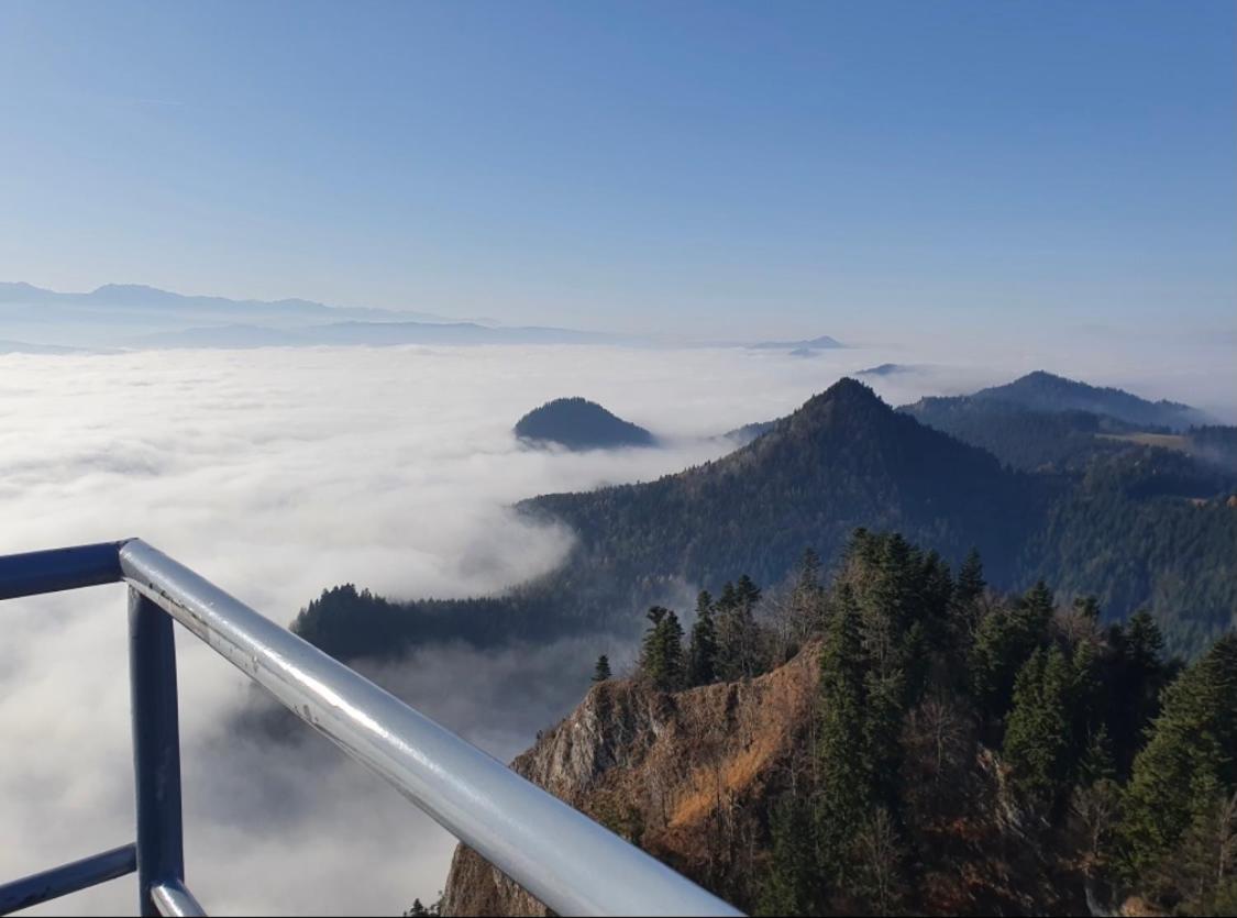 Photo 33
