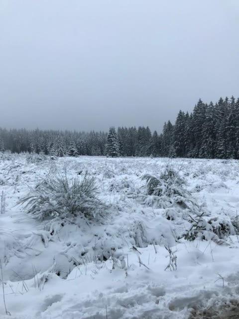 TERRASSES DE MALMEDY Triplex 224 LE CERF BLANC