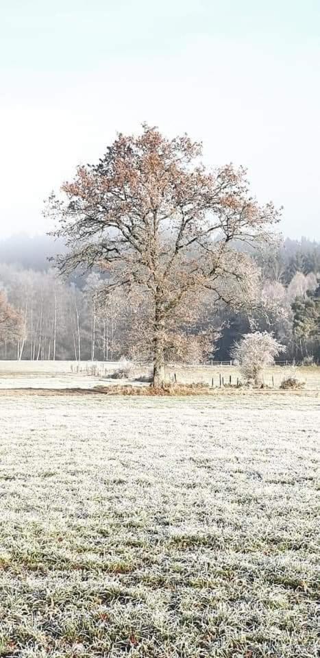 TERRASSES DE MALMEDY Triplex 224 LE CERF BLANC