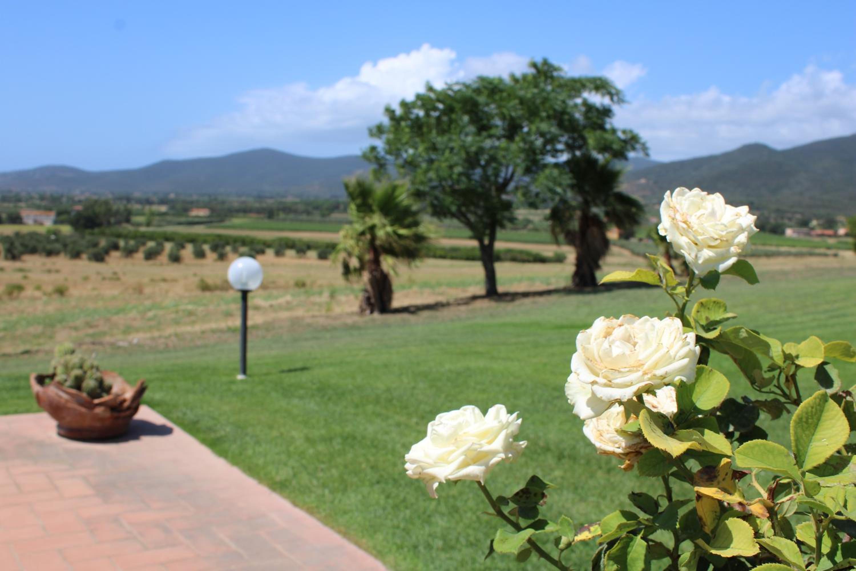 Agriturismo il Montoto - Nature & Relax view 2