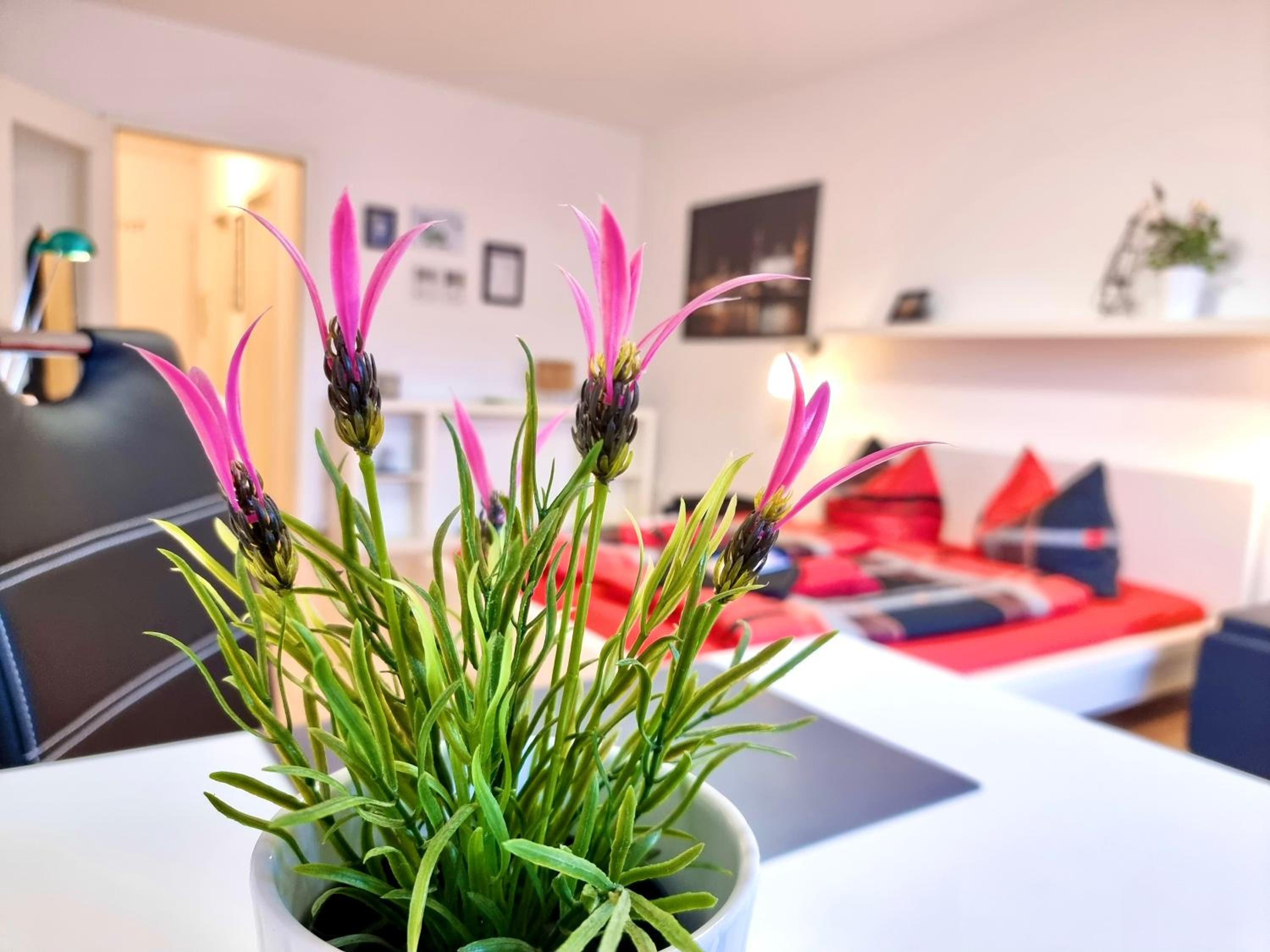 Dresden Vacations - FeWo 2,4,5,6 Altstadt - Am grossen Garten - Property Image 3